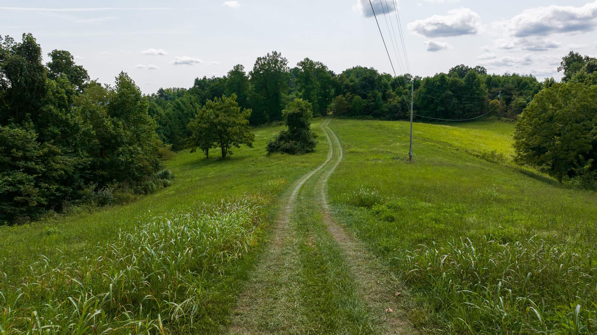 East Tennessee Hunting Property for Sale- 687 Big Springs Road Eidson TN 37731