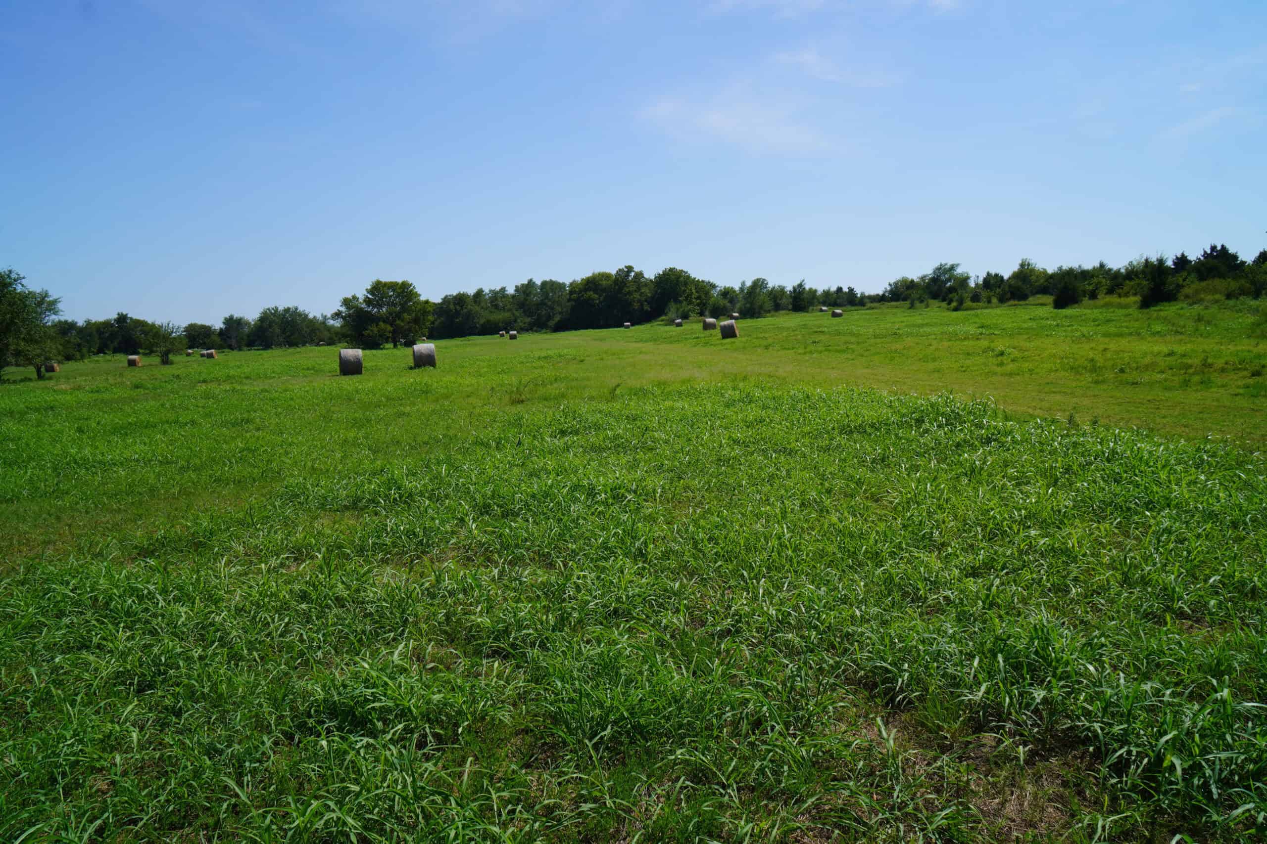 Pasture and Recreational Land for Sale, Lincoln County, OK