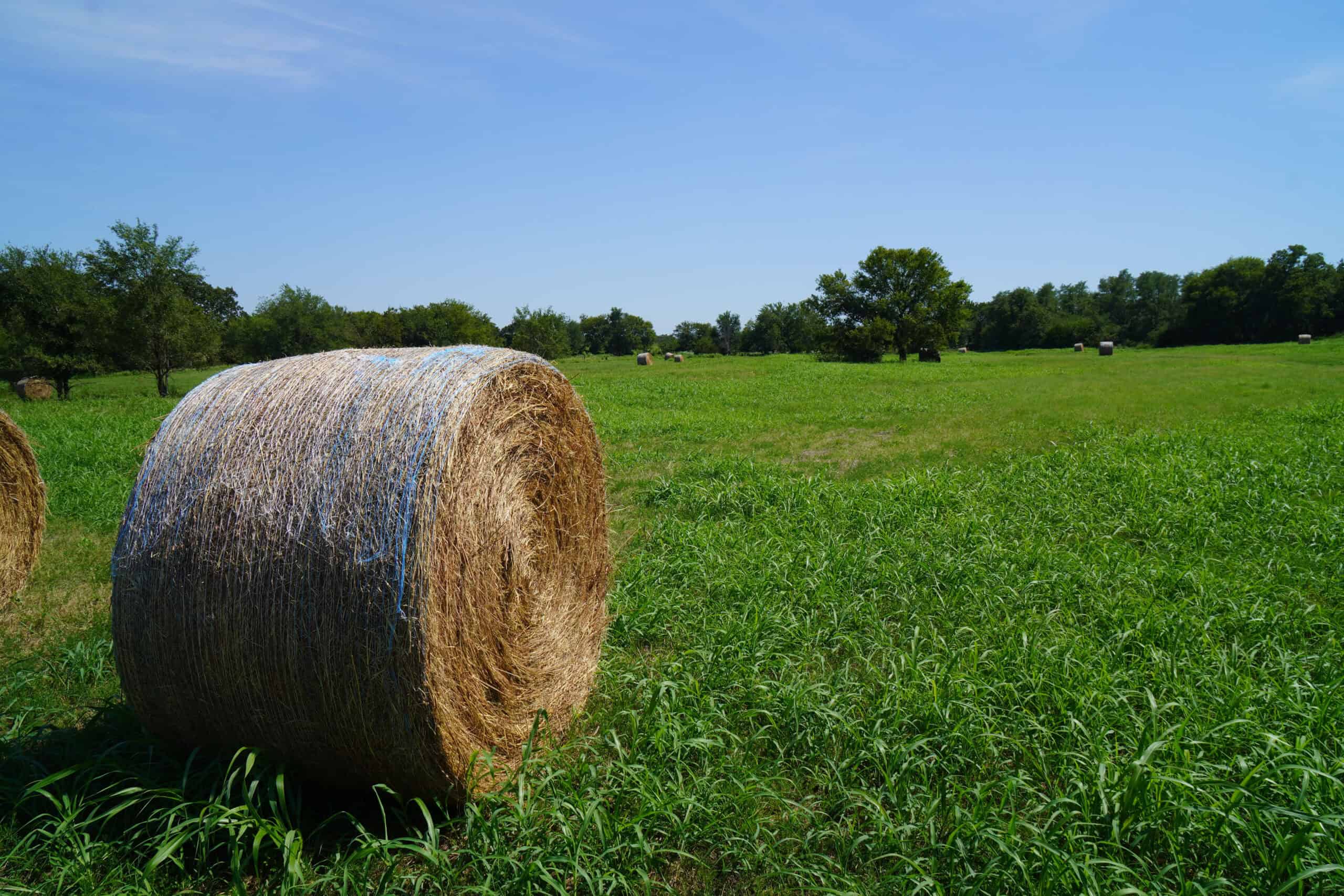 Pasture and Recreational Land for Sale, Lincoln County, OK