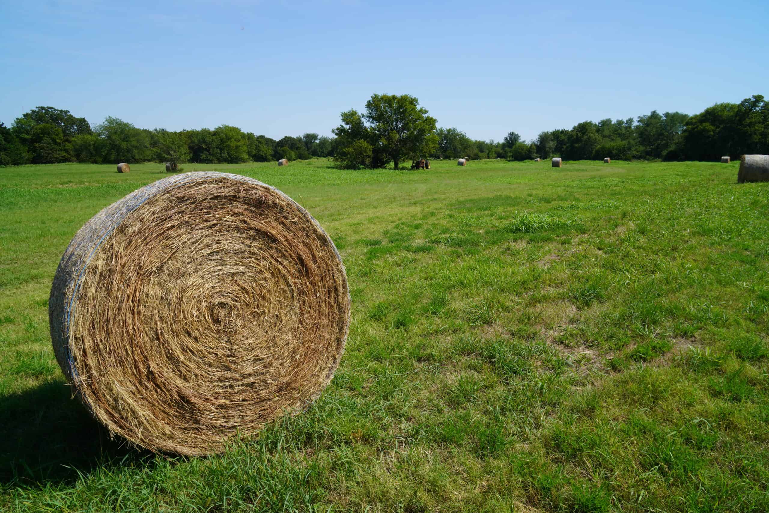 Pasture and Recreational Land for Sale, Lincoln County, OK
