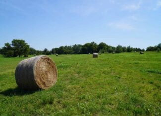 Pasture and Recreational Land for Sale, Lincoln County, OK