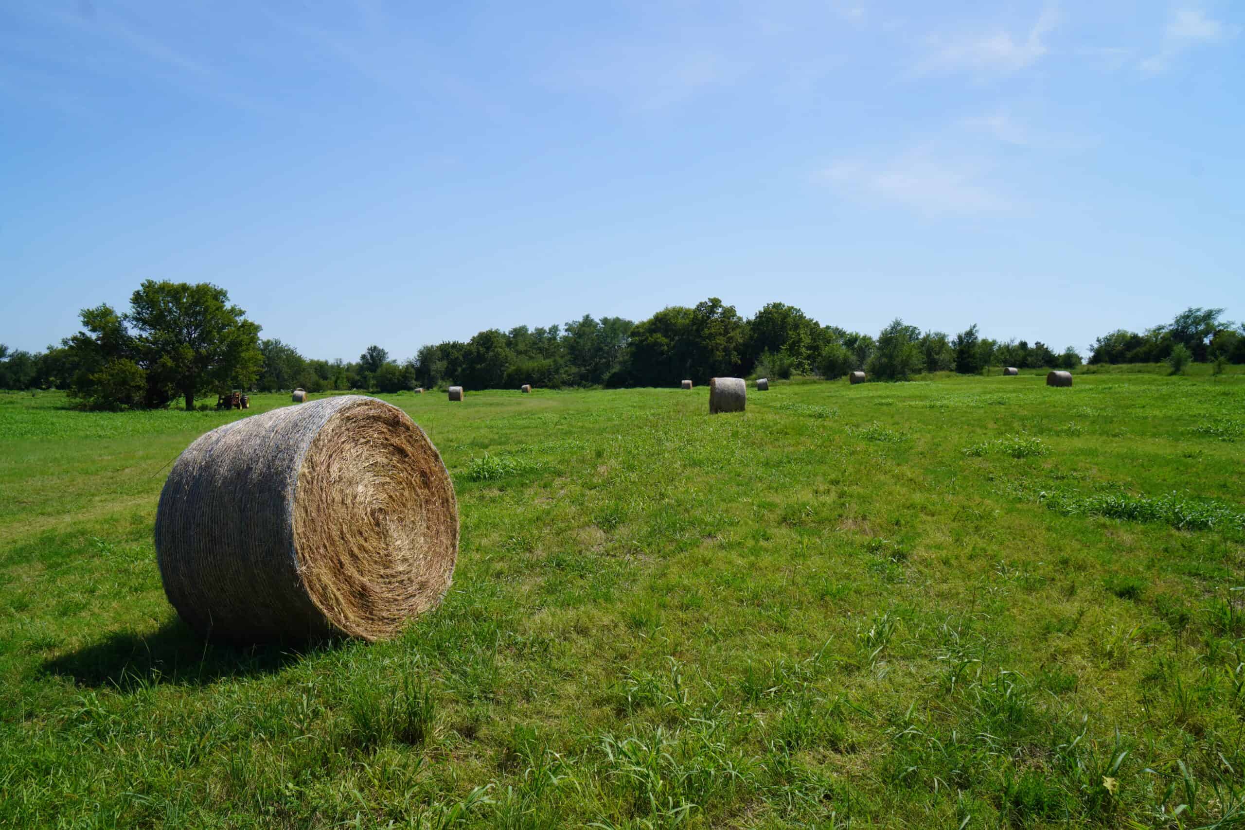 Pasture and Recreational Land for Sale, Lincoln County, OK