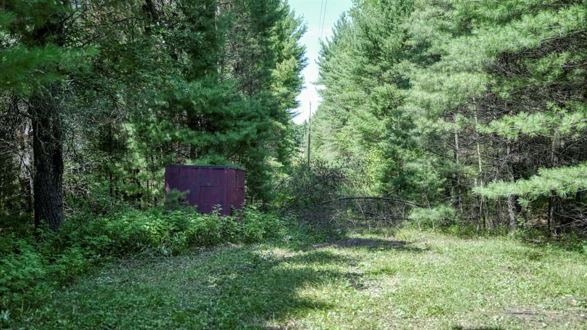 4-Bedroom Home Tucked Away in the Pines