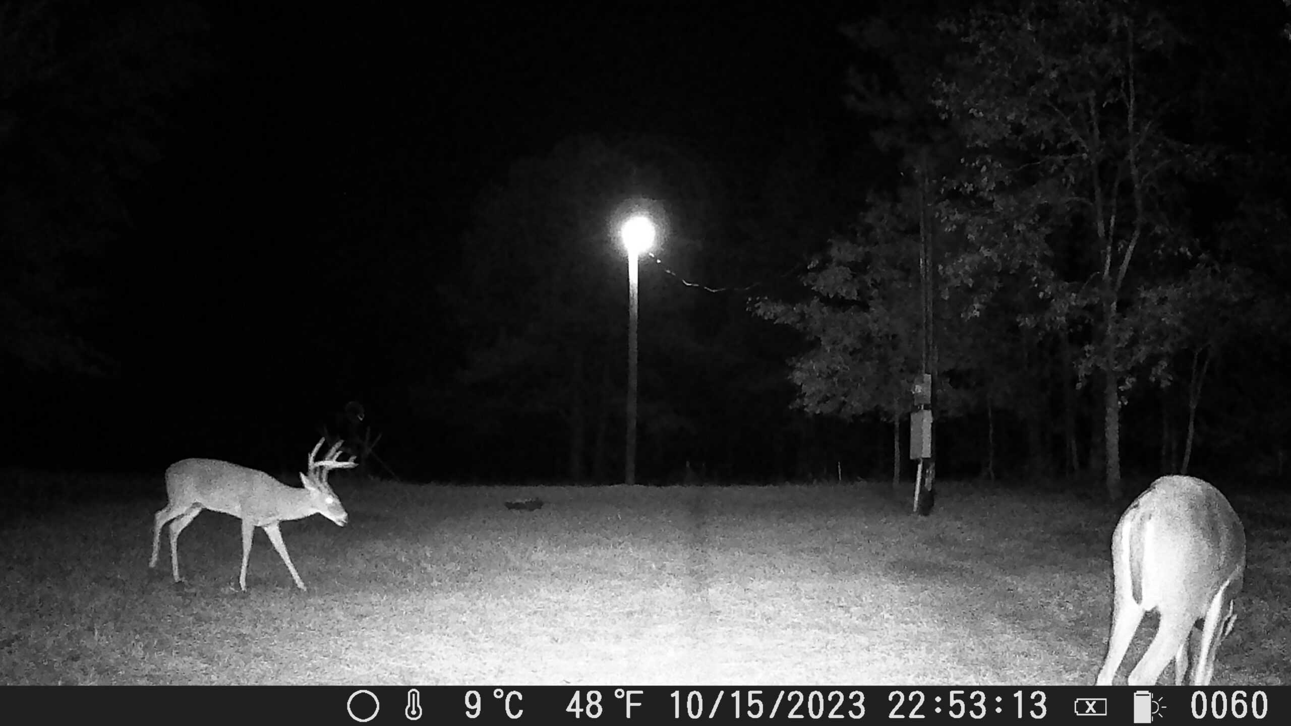 East Texas Hunting/Recreational Tract With Cabin