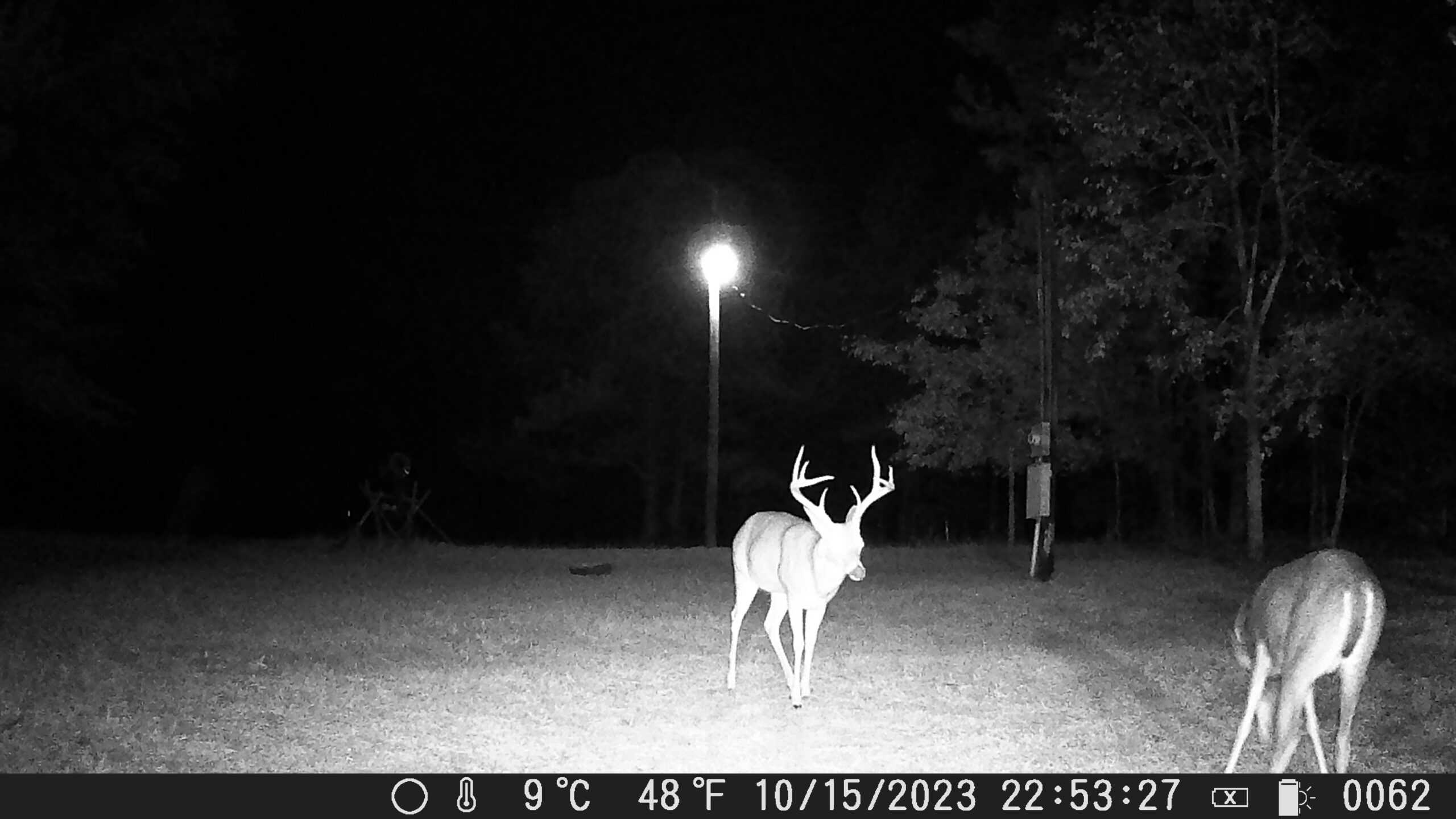 East Texas Hunting/Recreational Tract With Cabin