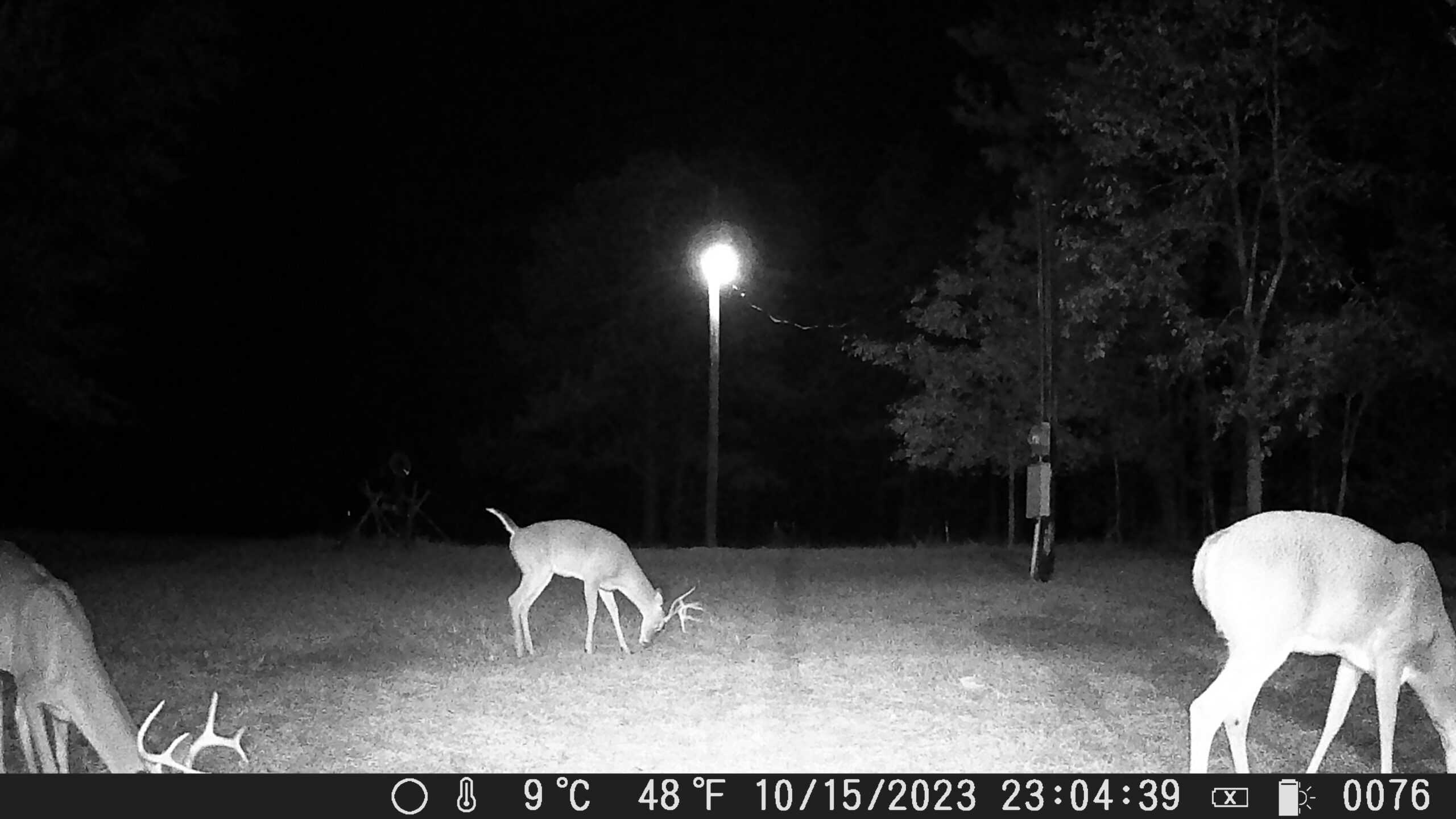 East Texas Hunting/Recreational Tract With Cabin