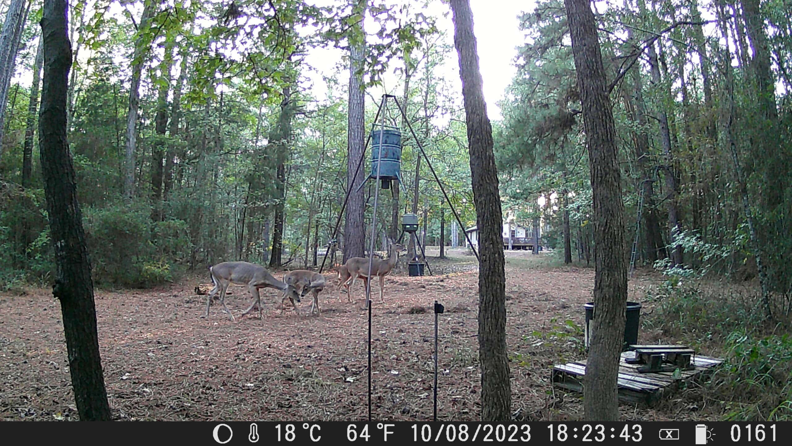 East Texas Hunting/Recreational Tract With Cabin