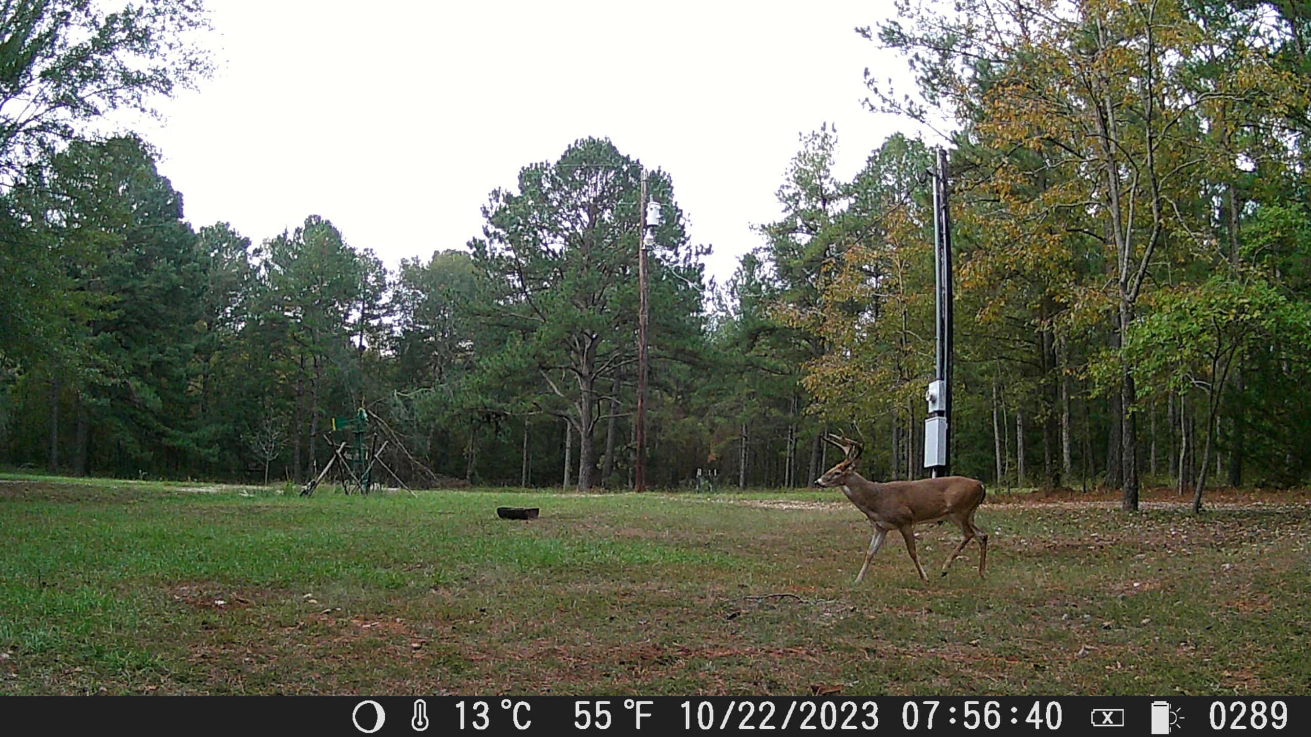 East Texas Hunting/Recreational Tract With Cabin