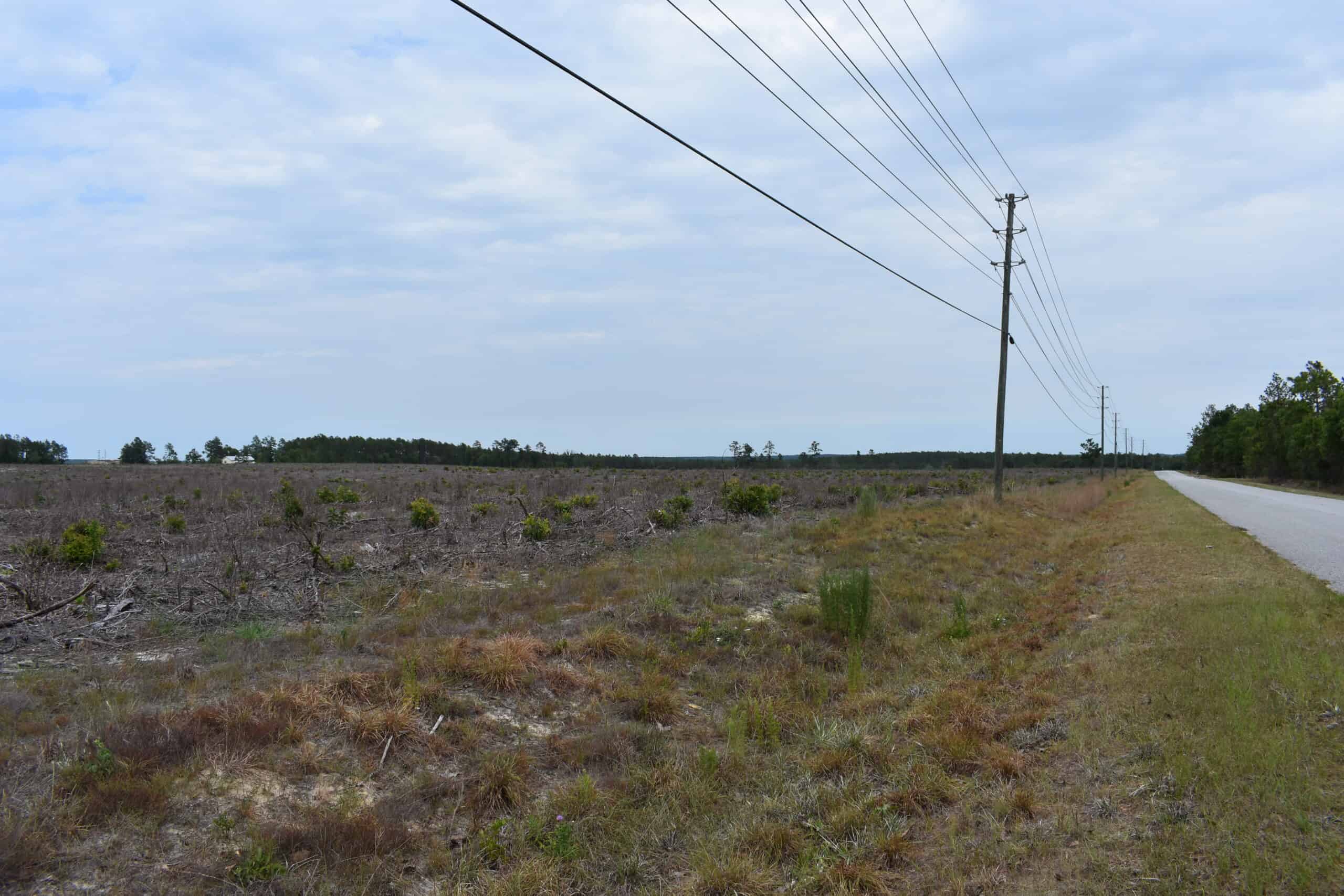 161 +/- Acres in Kershaw County, SC