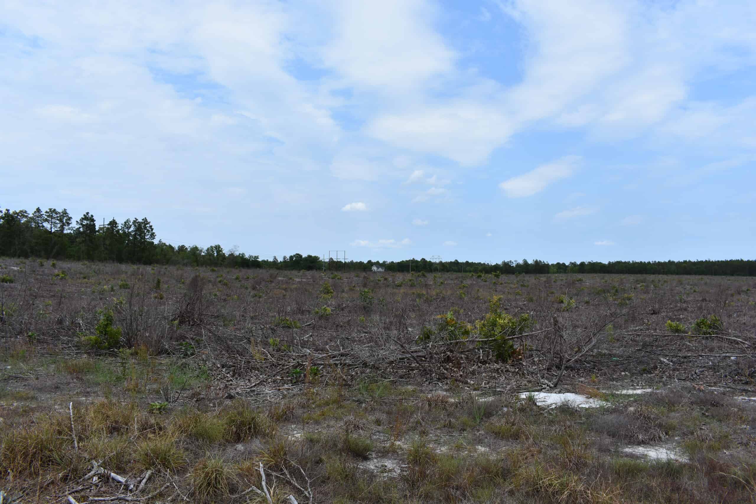 161 +/- Acres in Kershaw County, SC