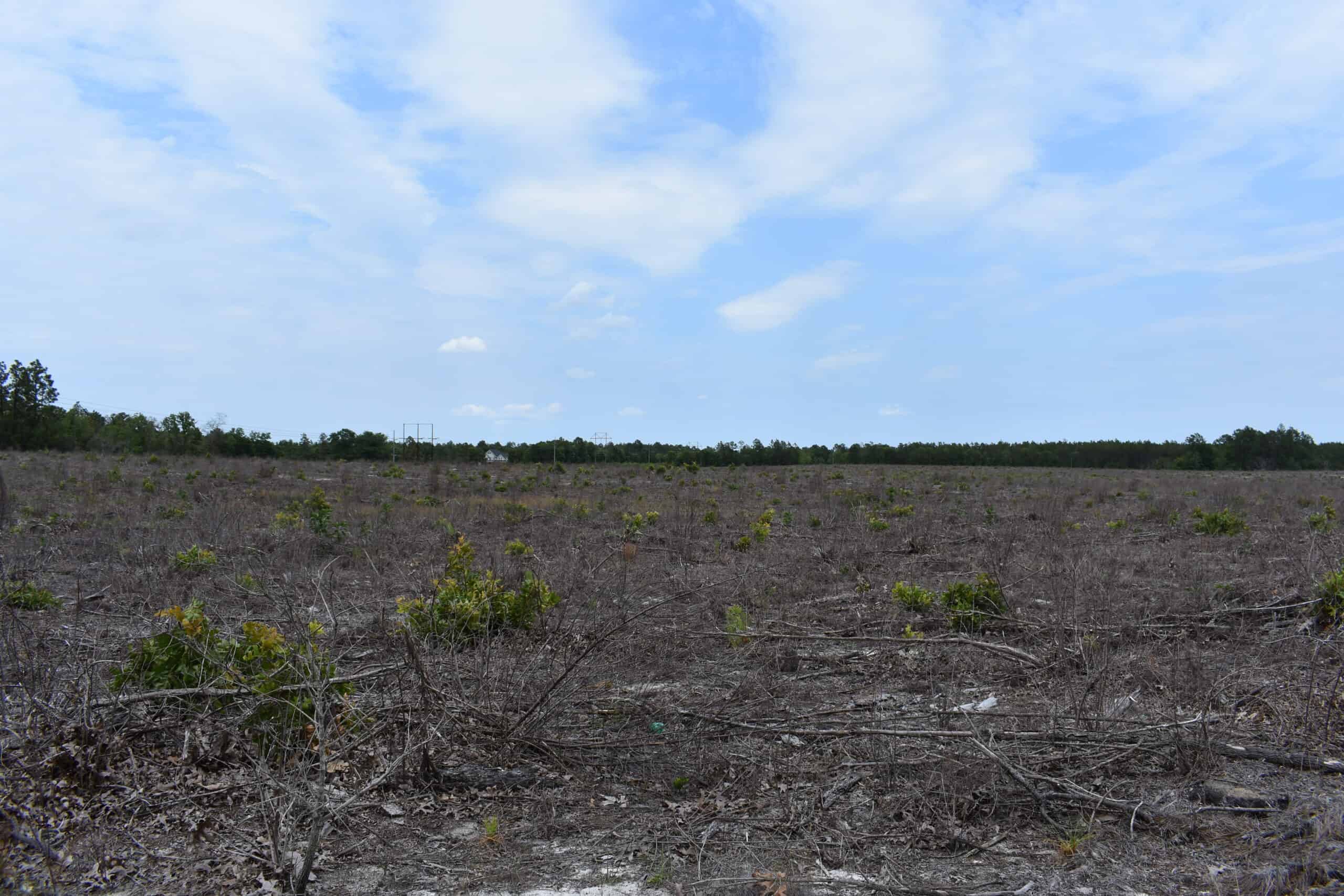 161 +/- Acres in Kershaw County, SC