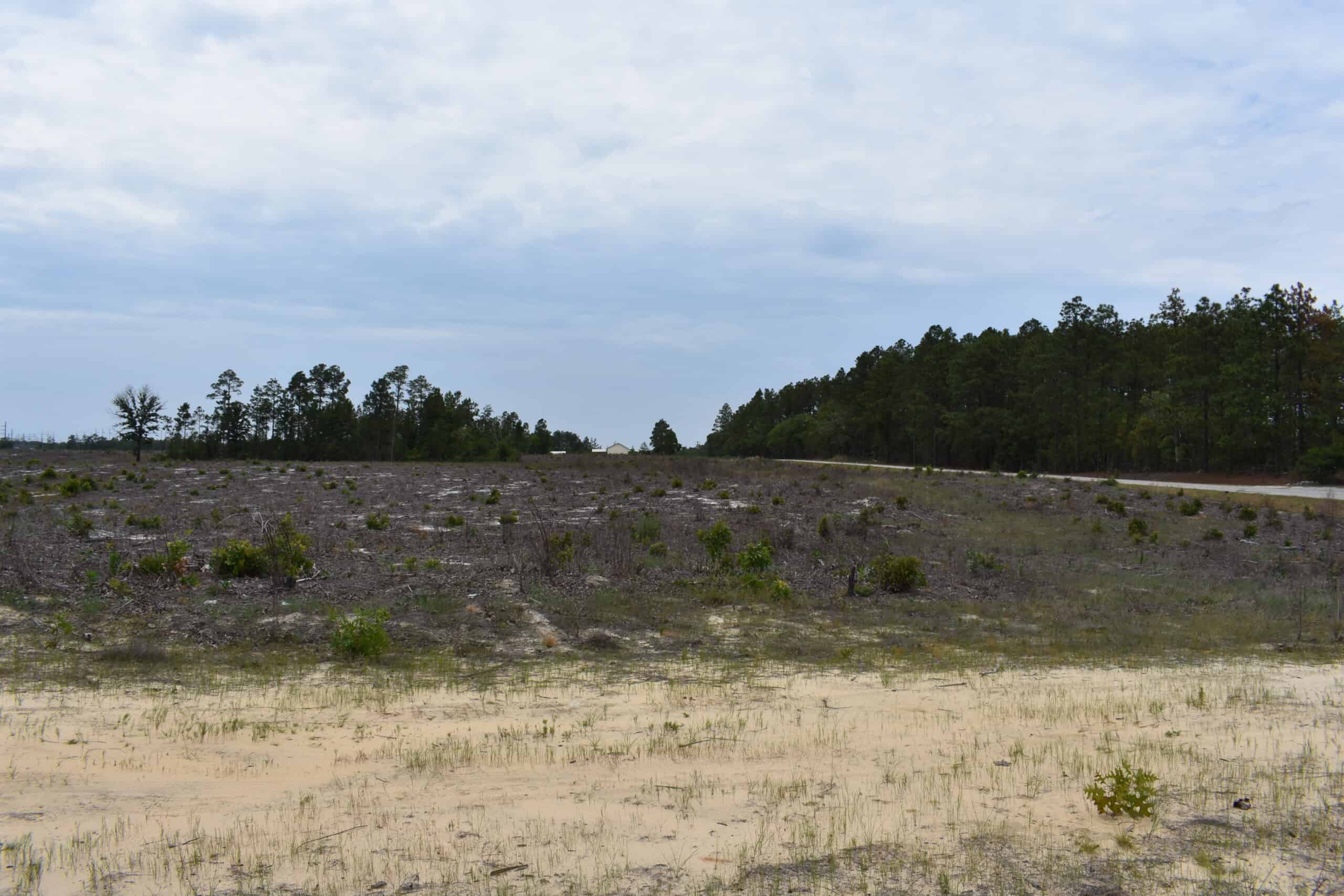 161 +/- Acres in Kershaw County, SC