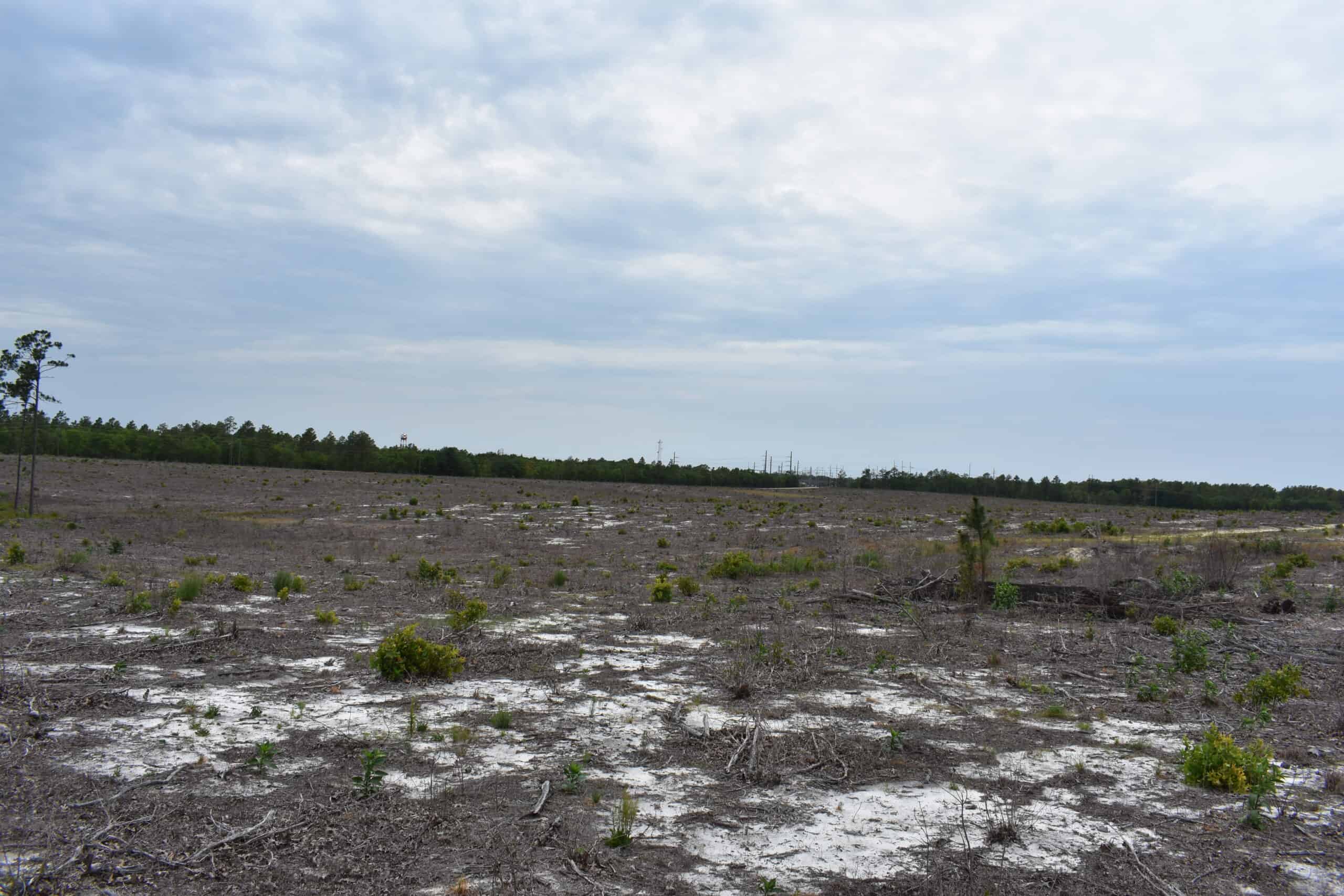 161 +/- Acres in Kershaw County, SC
