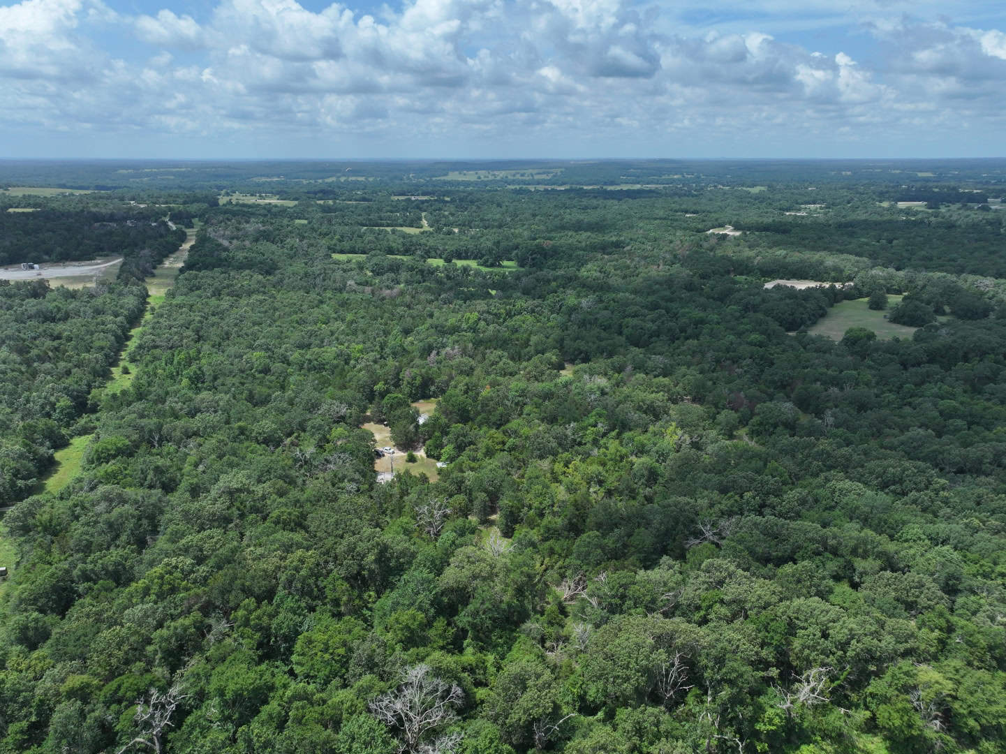 Hunters, Take Notice! 33.76 Acres of Off-Grid Bliss in Fairfield, TX – Your Ultimate Hunting Property!