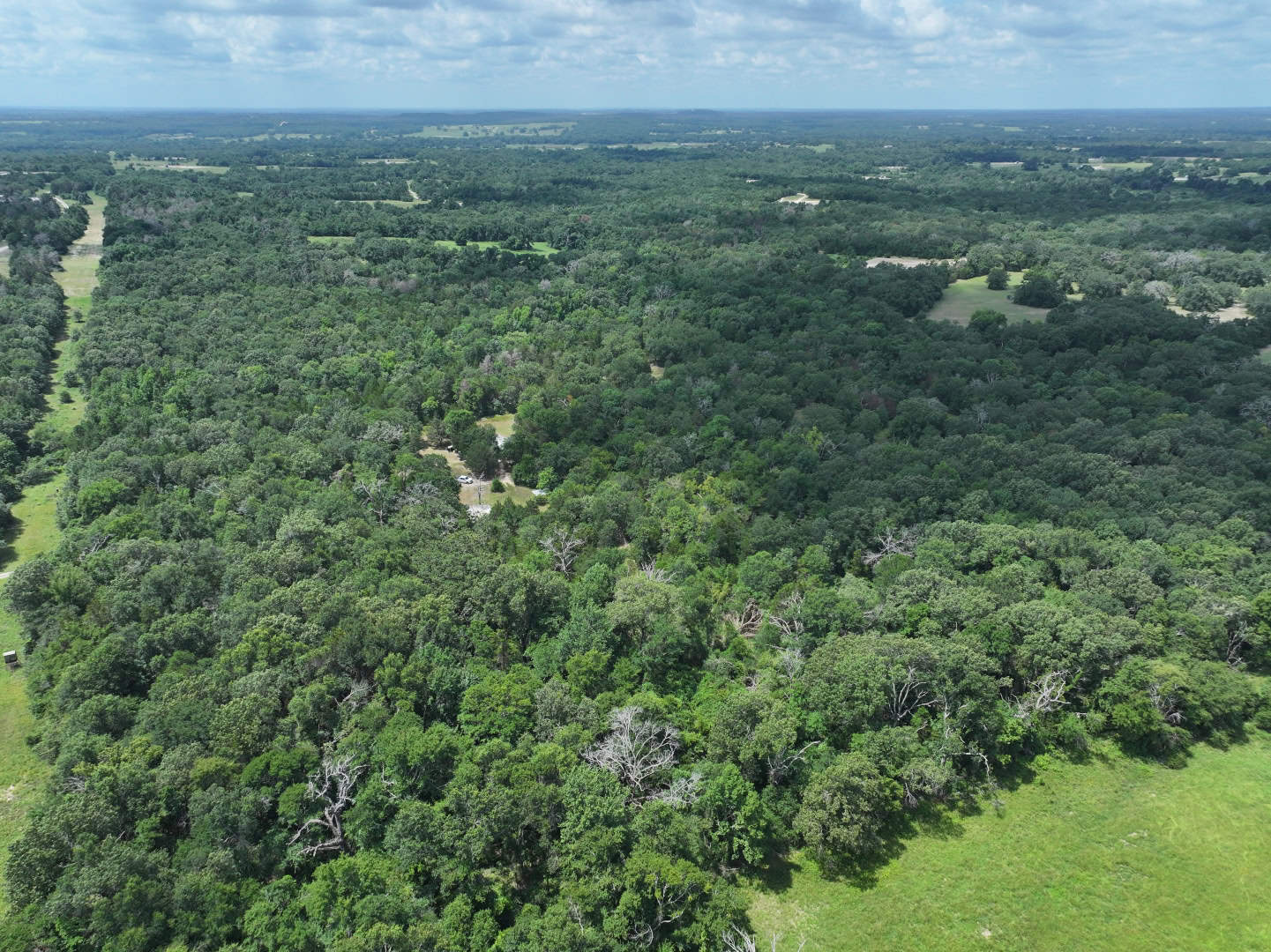 Hunters, Take Notice! 33.76 Acres of Off-Grid Bliss in Fairfield, TX – Your Ultimate Hunting Property!