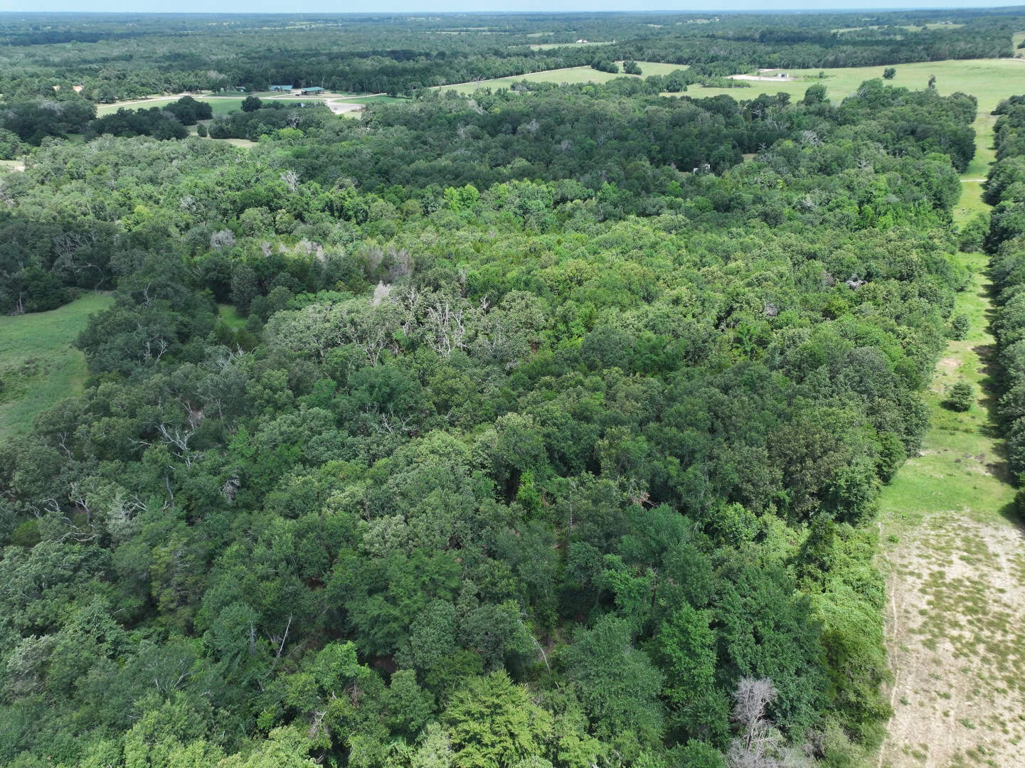 Hunters, Take Notice! 33.76 Acres of Off-Grid Bliss in Fairfield, TX – Your Ultimate Hunting Property!