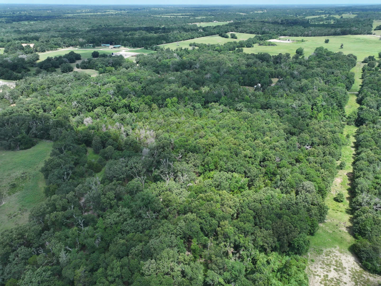 Hunters, Take Notice! 33.76 Acres of Off-Grid Bliss in Fairfield, TX – Your Ultimate Hunting Property!