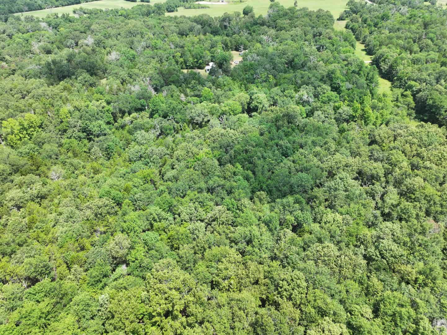 Hunters, Take Notice! 33.76 Acres of Off-Grid Bliss in Fairfield, TX – Your Ultimate Hunting Property!