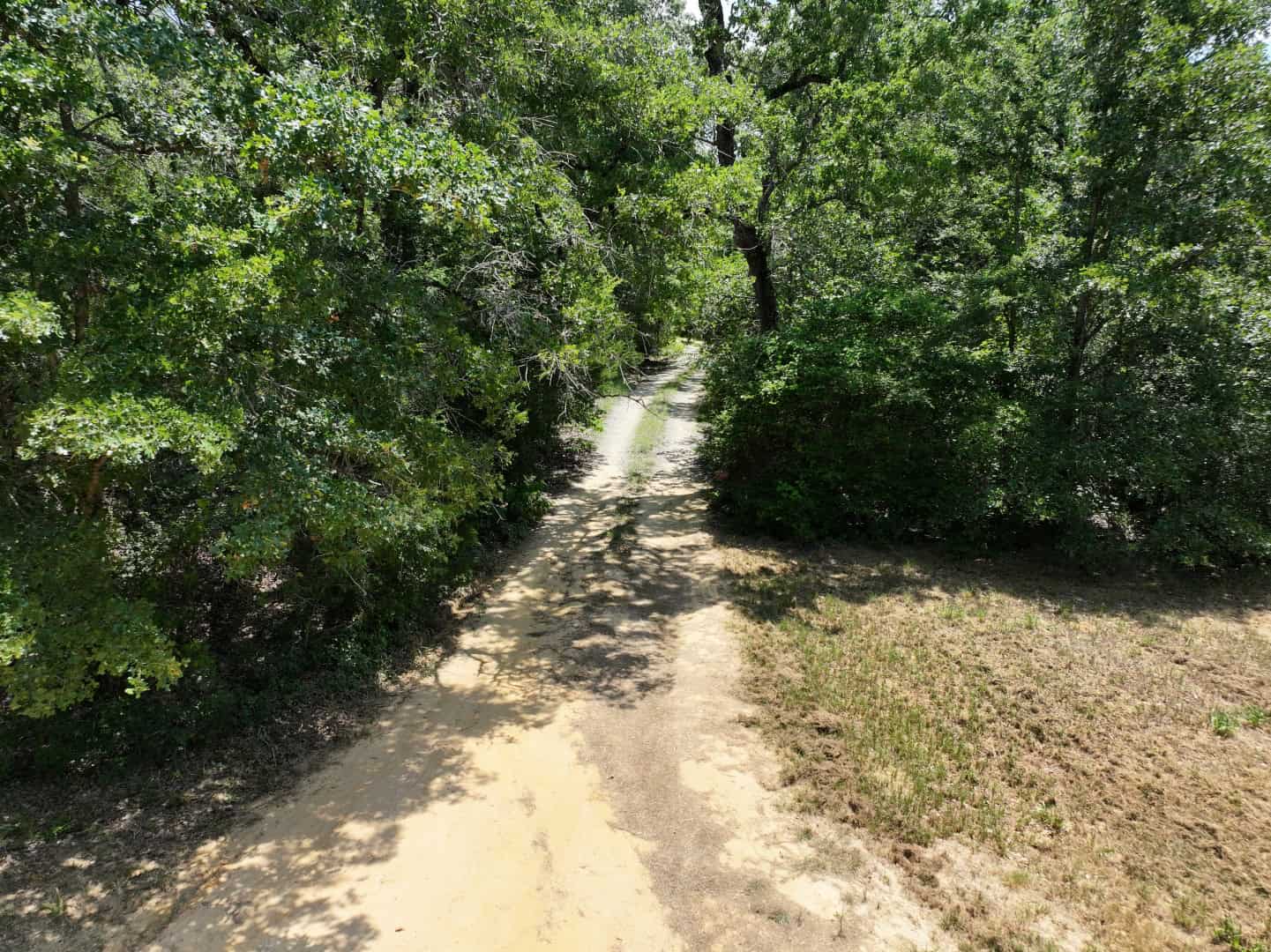Hunters, Take Notice! 33.76 Acres of Off-Grid Bliss in Fairfield, TX – Your Ultimate Hunting Property!