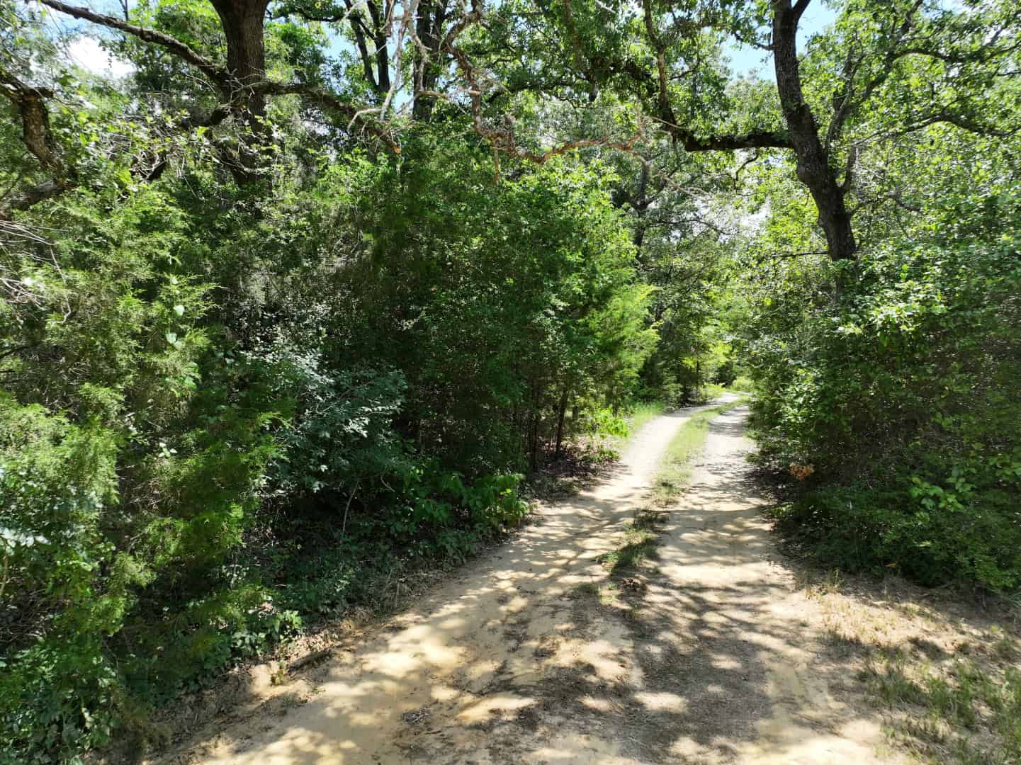 Hunters, Take Notice! 33.76 Acres of Off-Grid Bliss in Fairfield, TX – Your Ultimate Hunting Property!