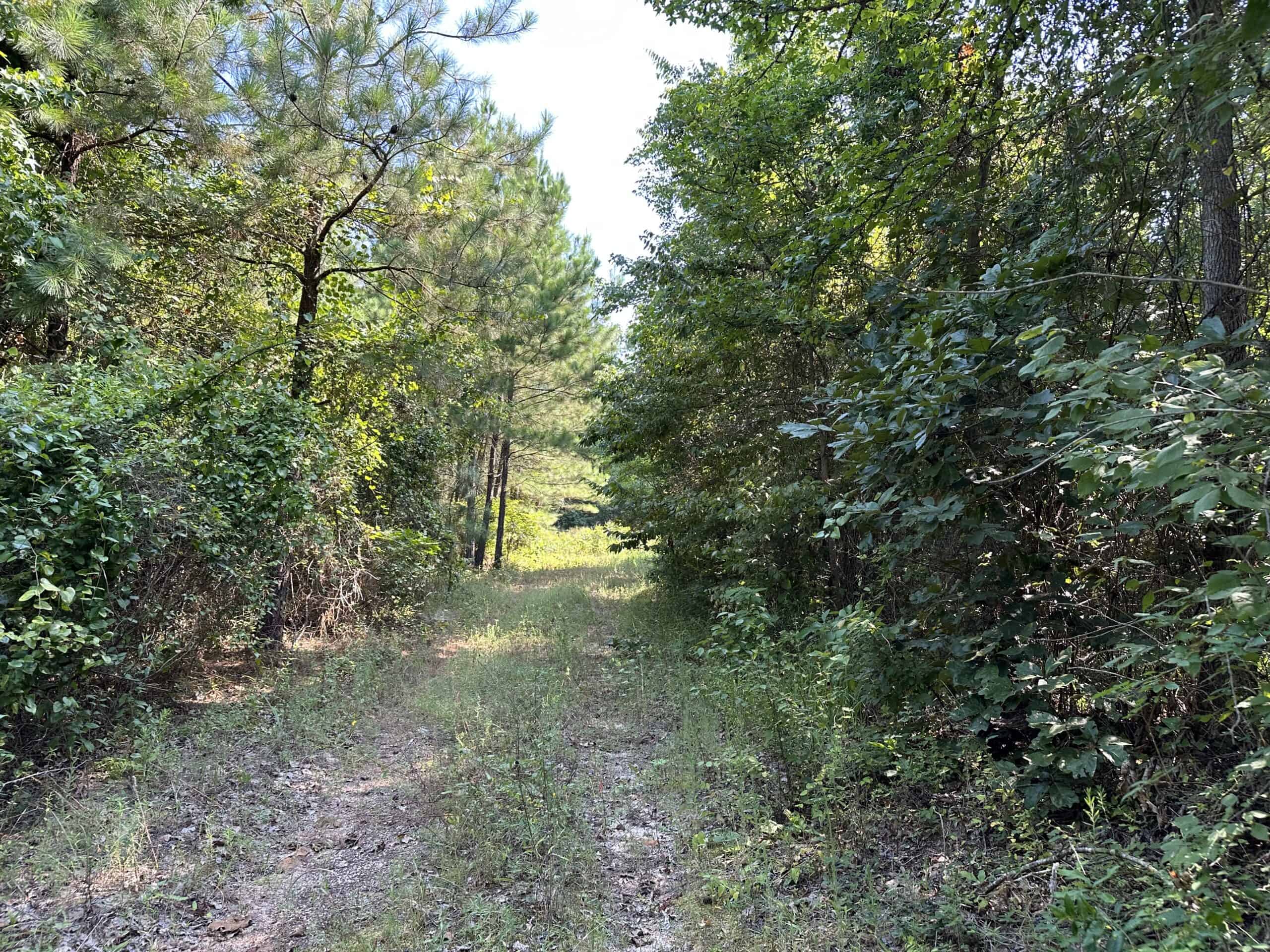 East Texas Hunting/Recreational Land For Sale
