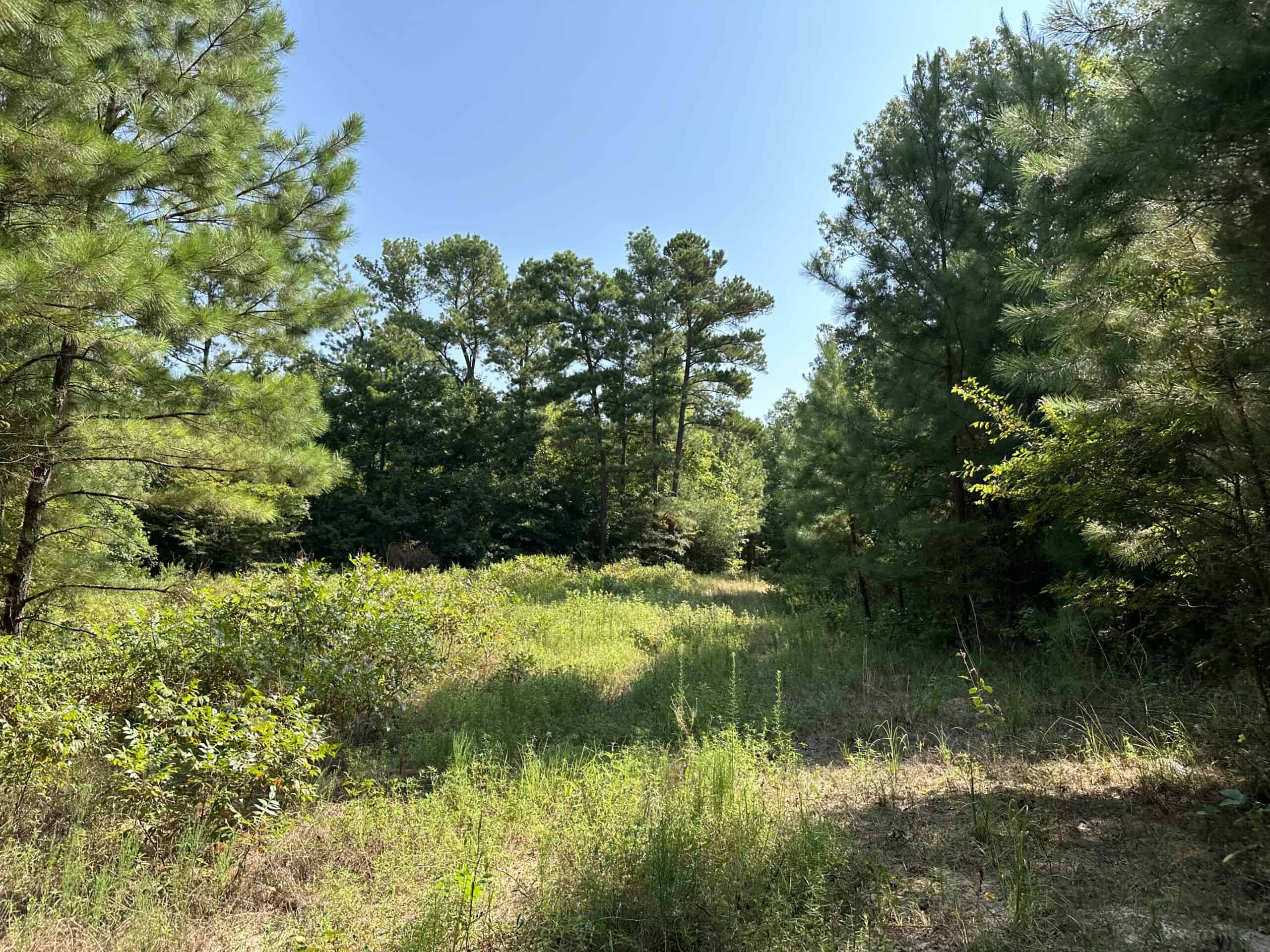 East Texas Hunting/Recreational Land For Sale