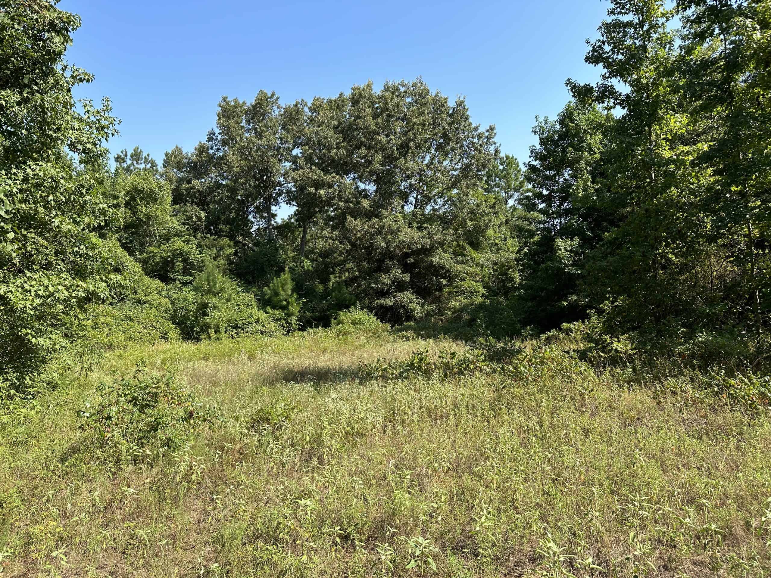 East Texas Hunting/Recreational Land For Sale