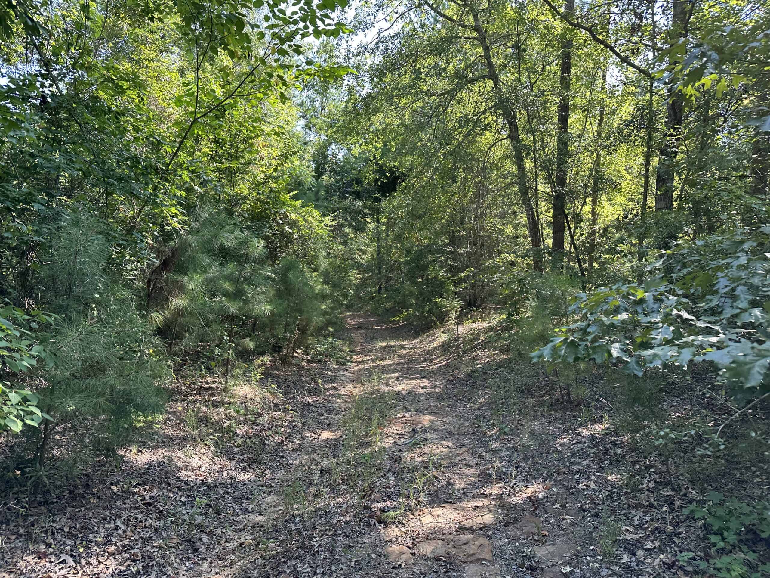 East Texas Hunting/Recreational Land For Sale