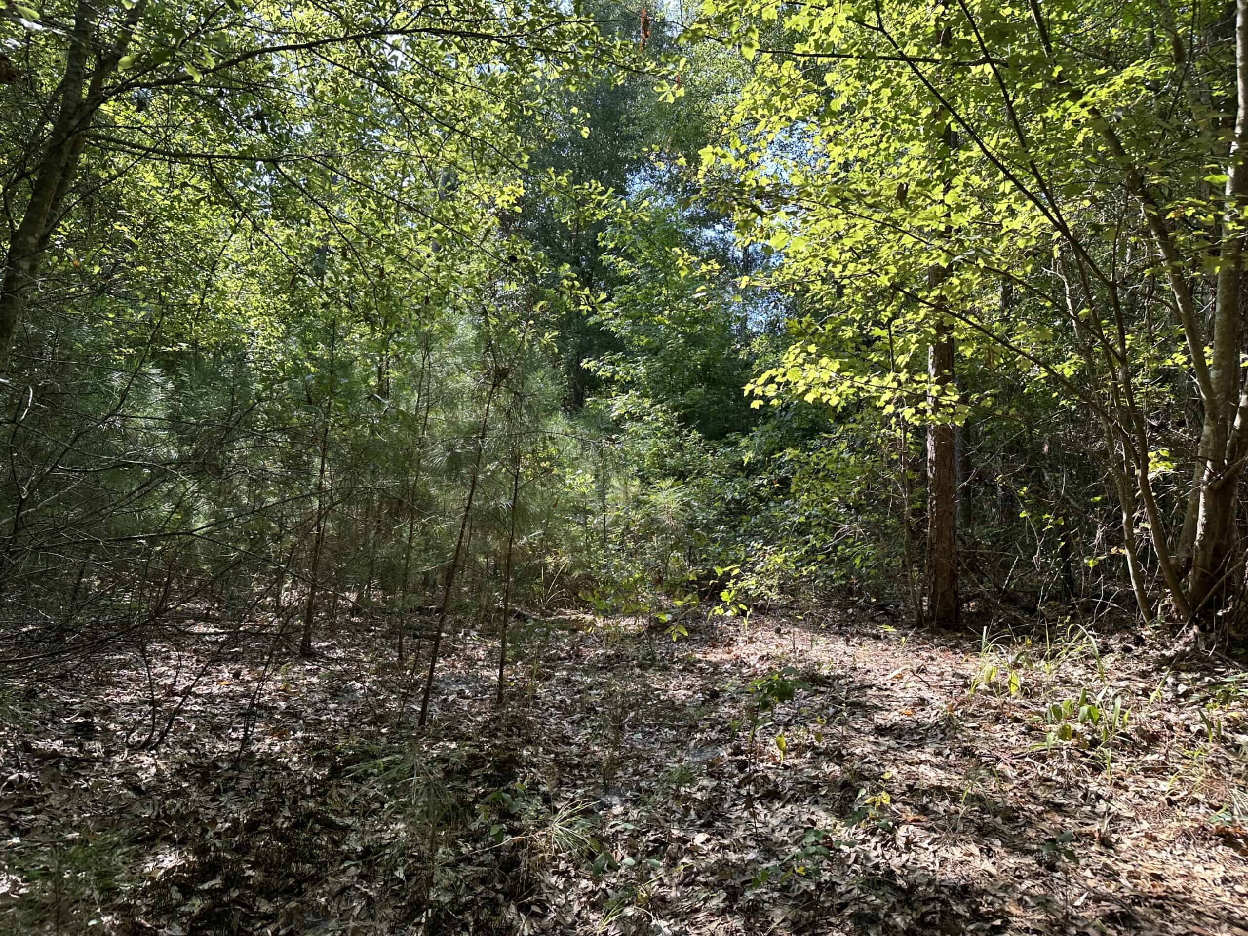 East Texas Hunting/Recreational Land For Sale
