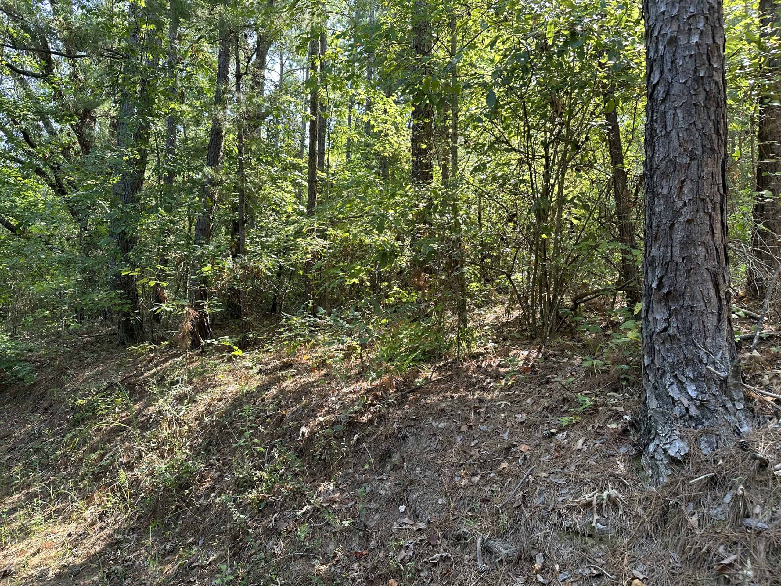 East Texas Hunting/Recreational Land For Sale