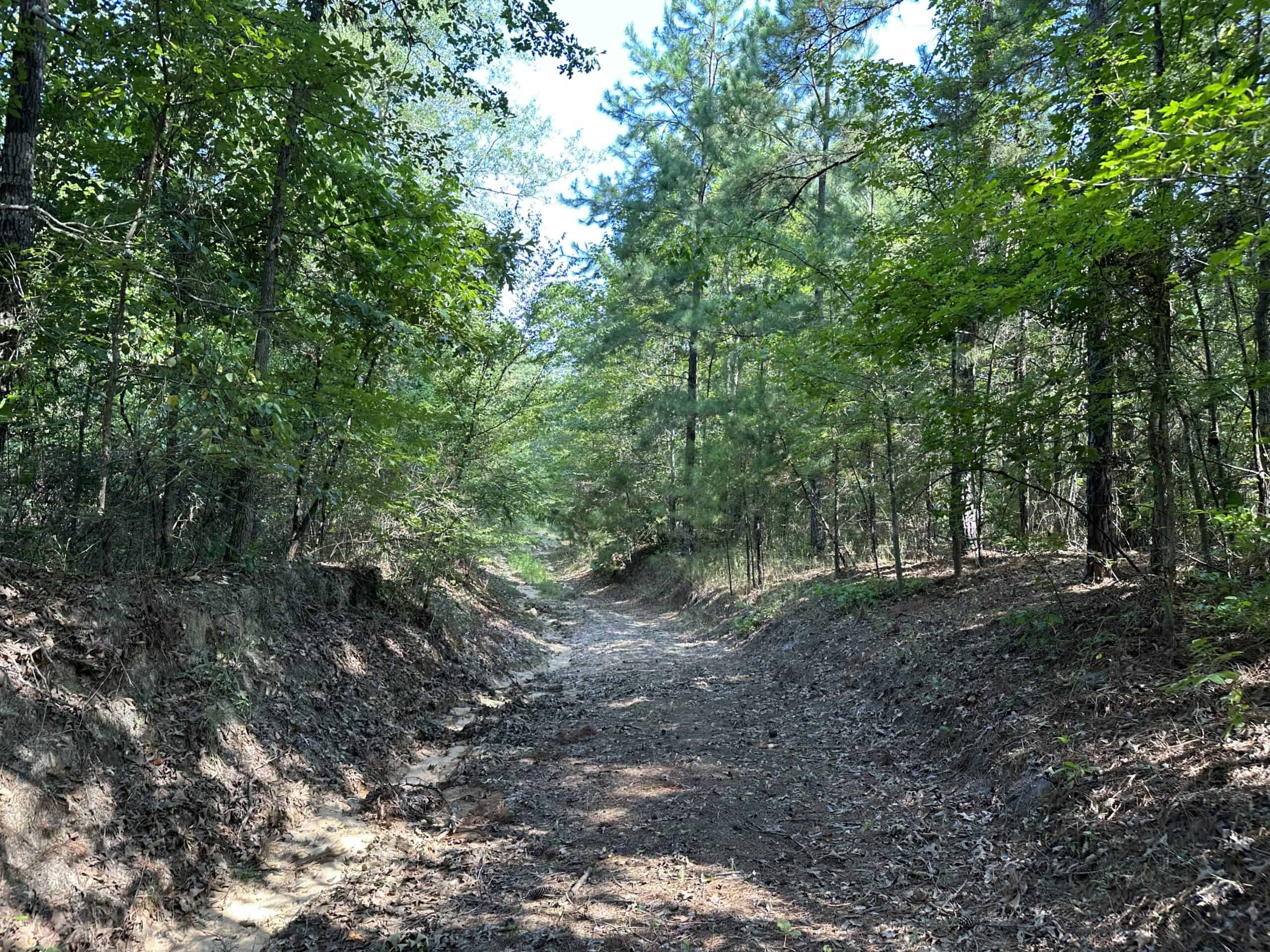 East Texas Hunting/Recreational Land For Sale