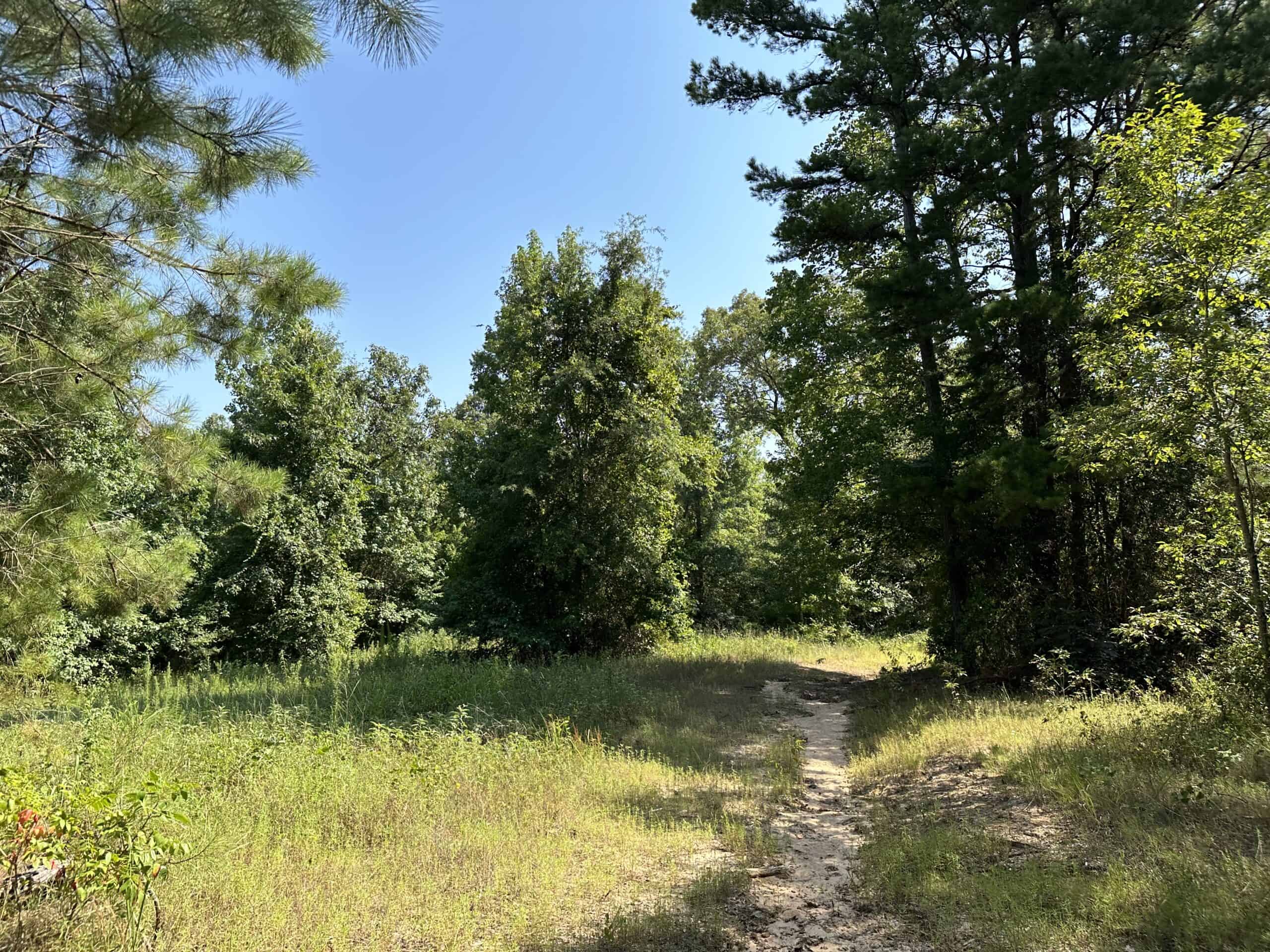 East Texas Hunting/Recreational Land For Sale
