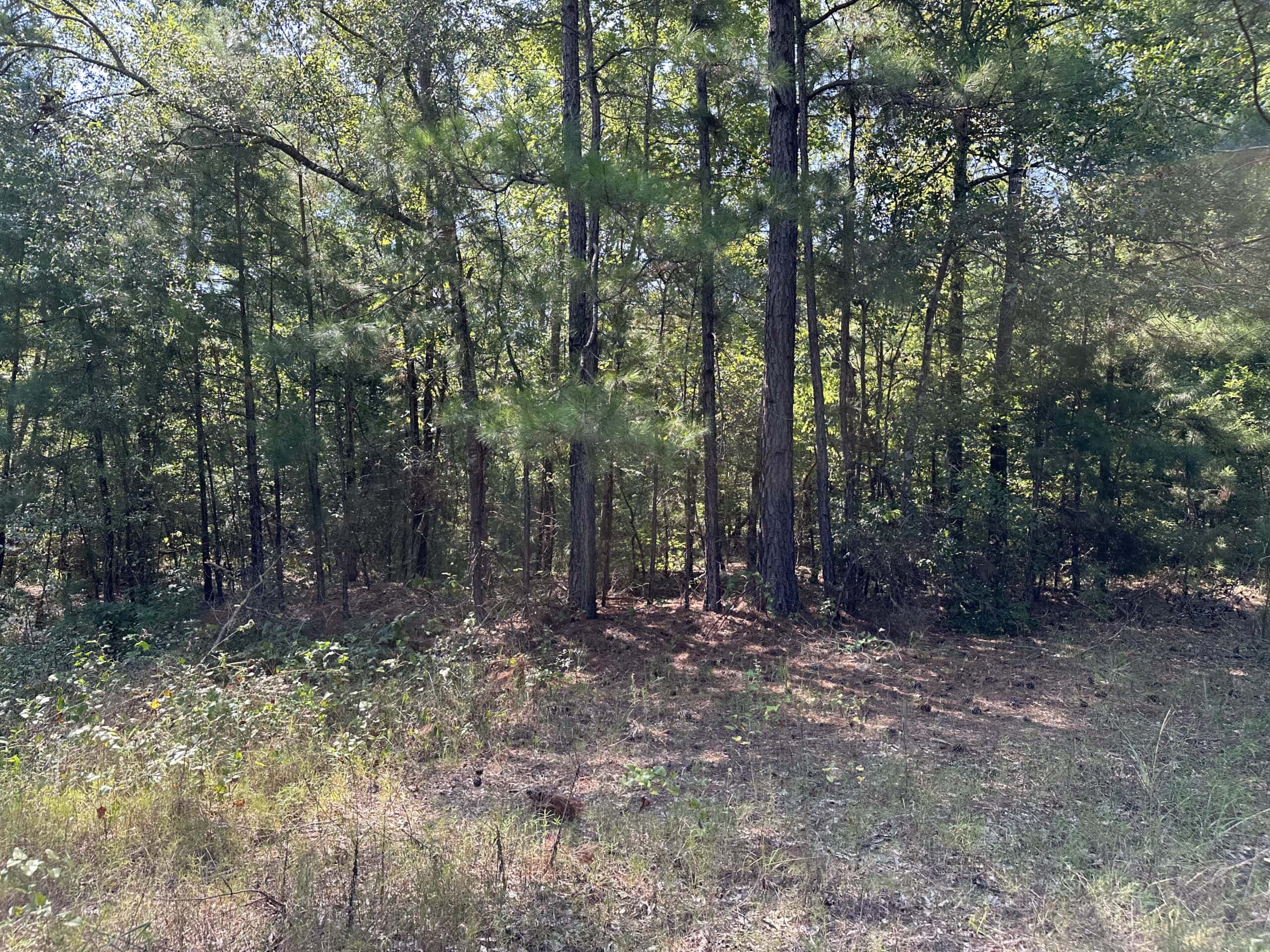 East Texas Hunting/Recreational Land For Sale