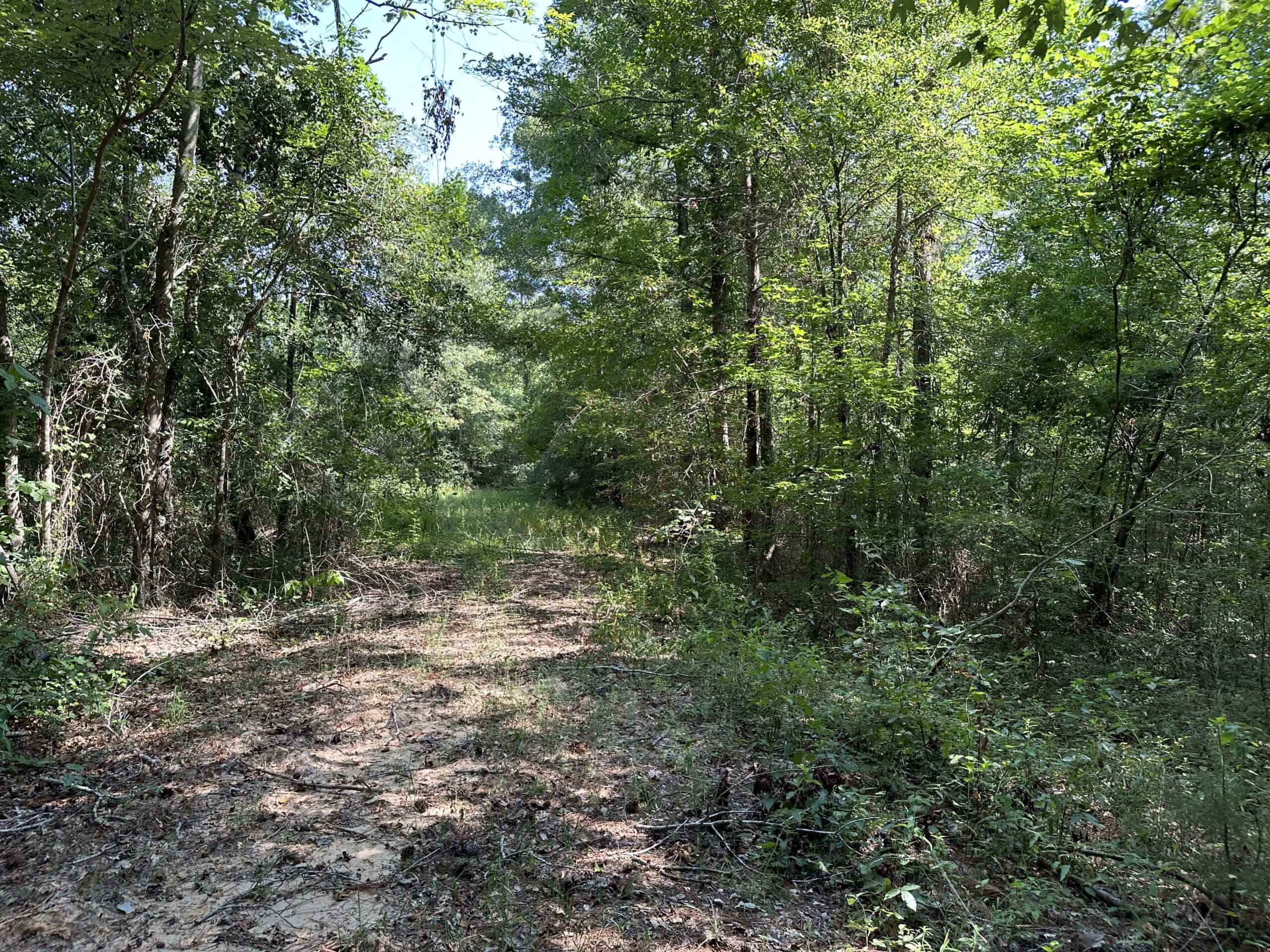 East Texas Hunting/Recreational Land For Sale