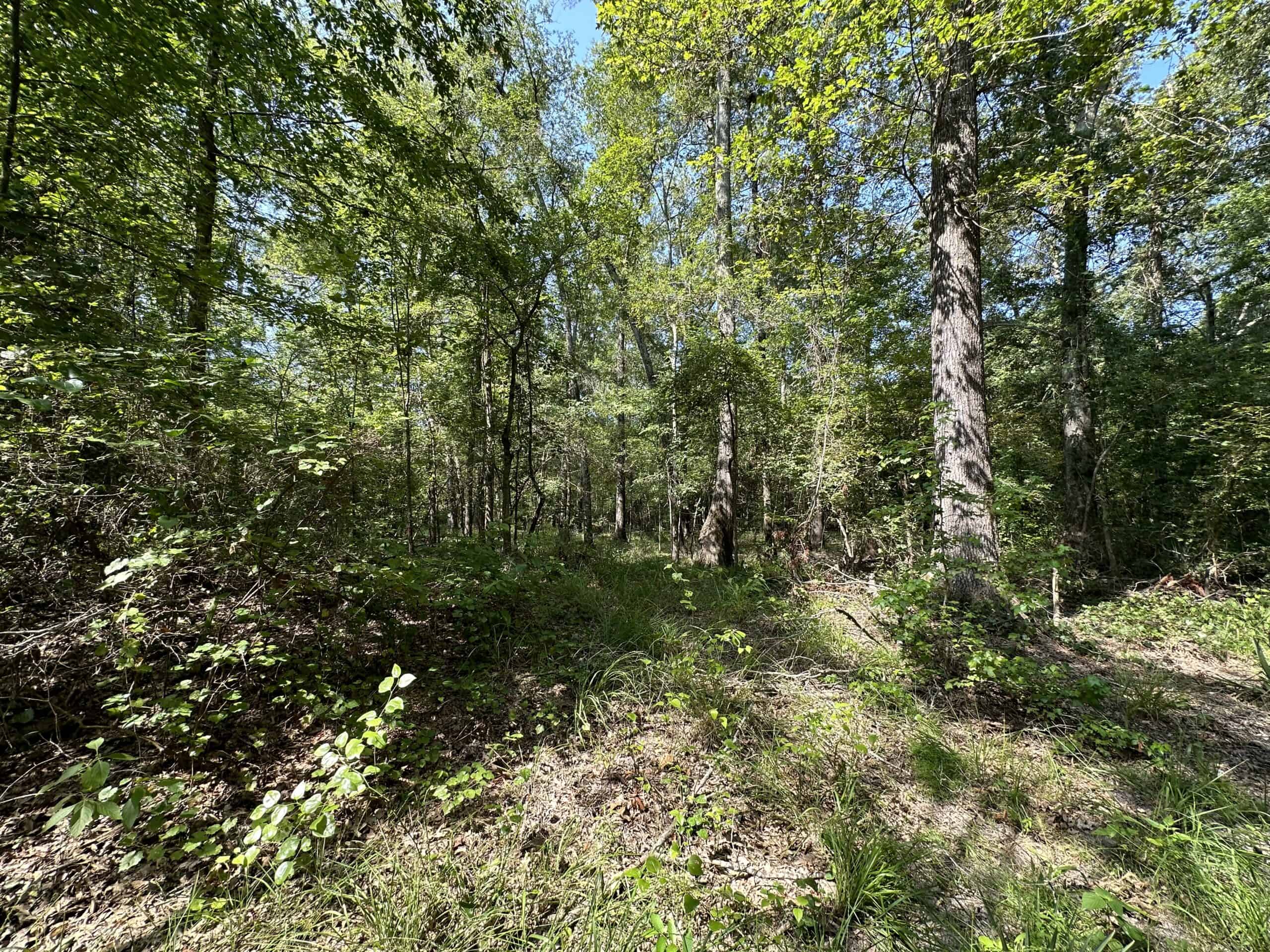 East Texas Hunting/Recreational Land For Sale