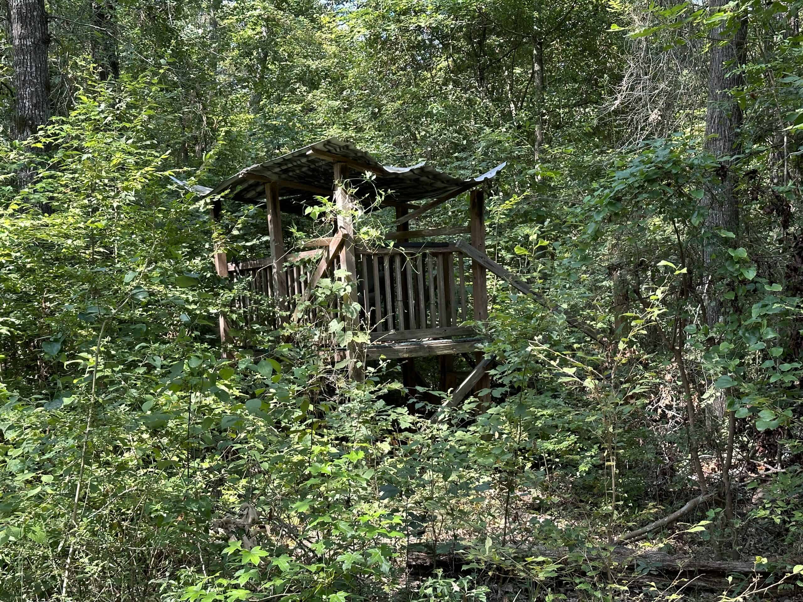 East Texas Hunting/Recreational Land For Sale