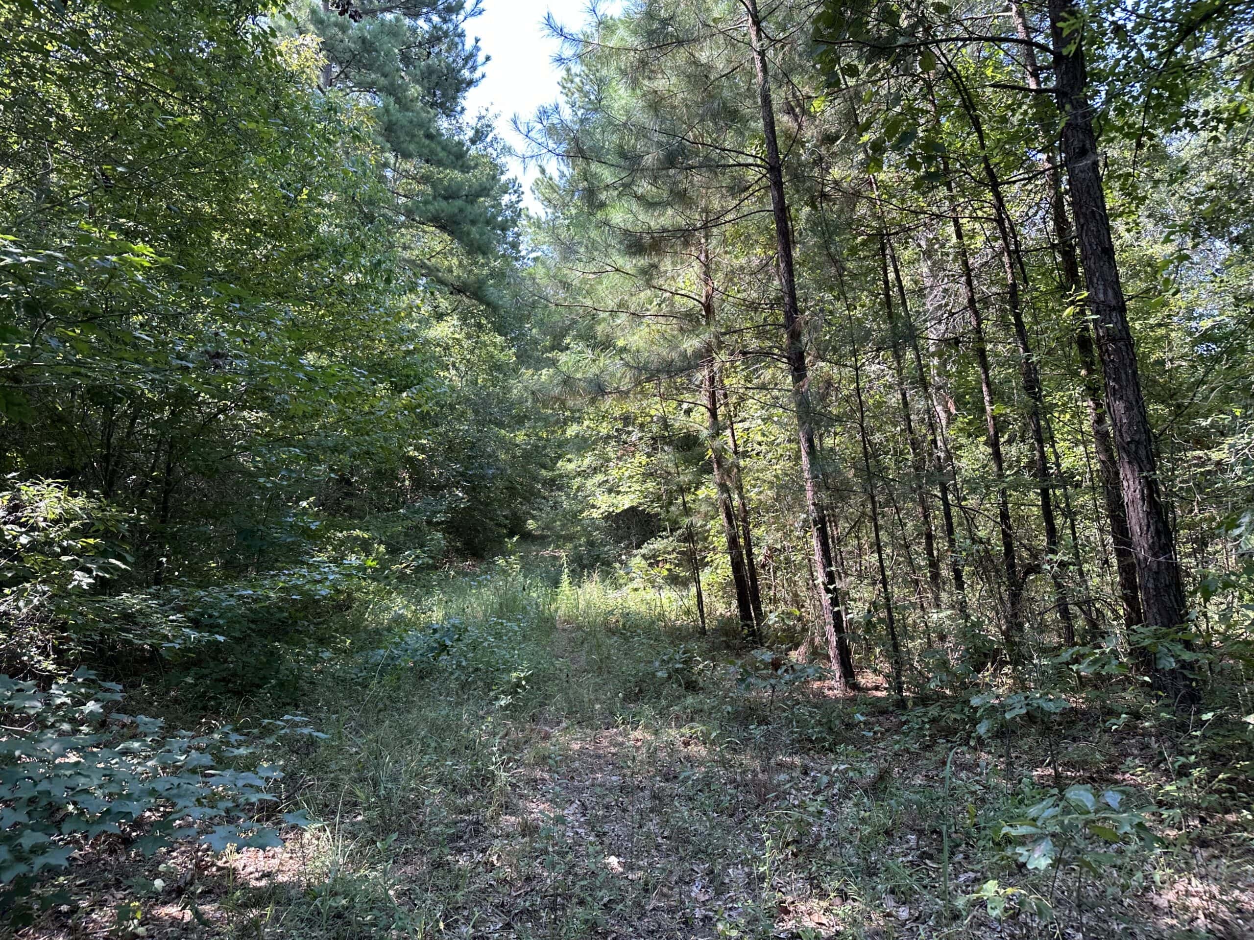 East Texas Hunting/Recreational Land For Sale