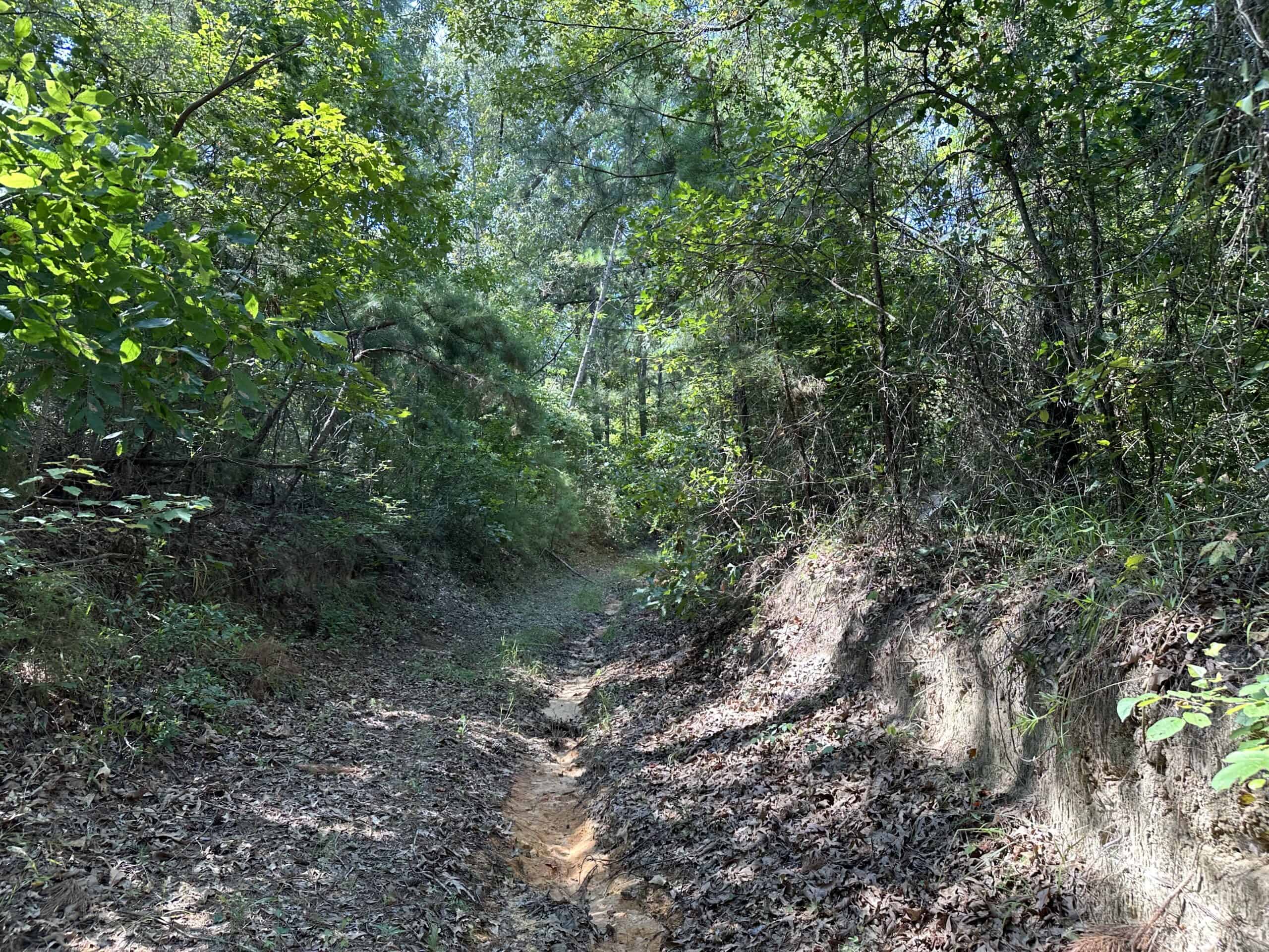 East Texas Hunting/Recreational Land For Sale