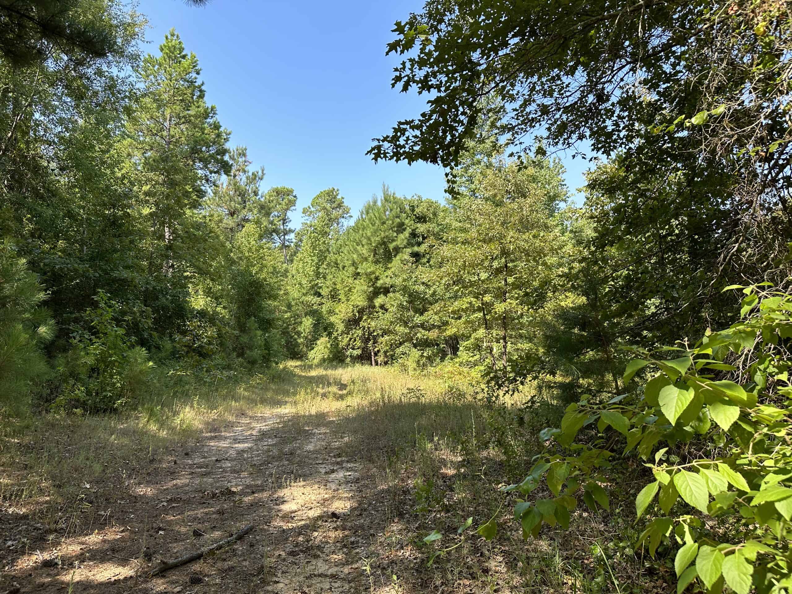 East Texas Hunting/Recreational Land For Sale
