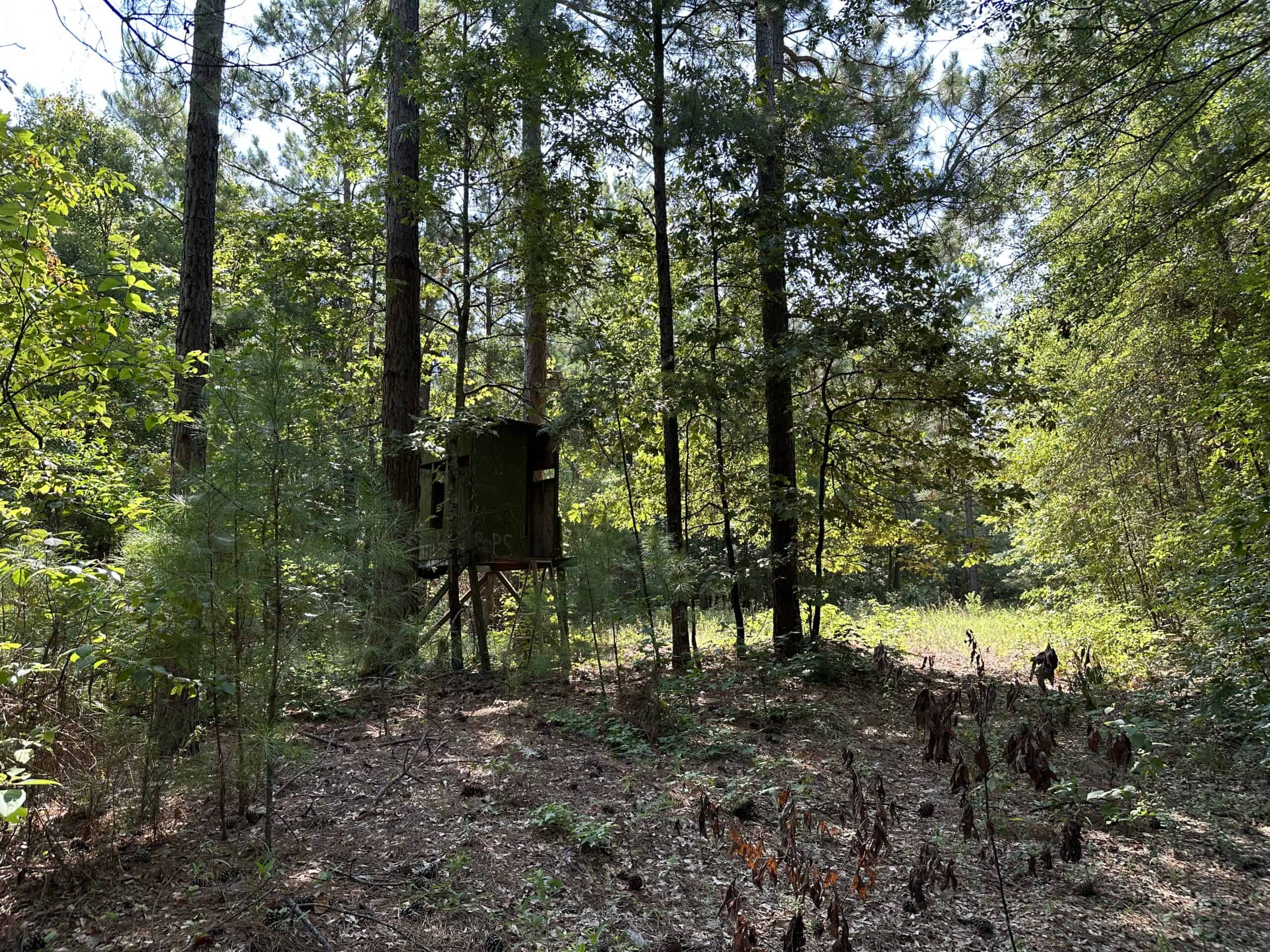 East Texas Hunting/Recreational Land For Sale