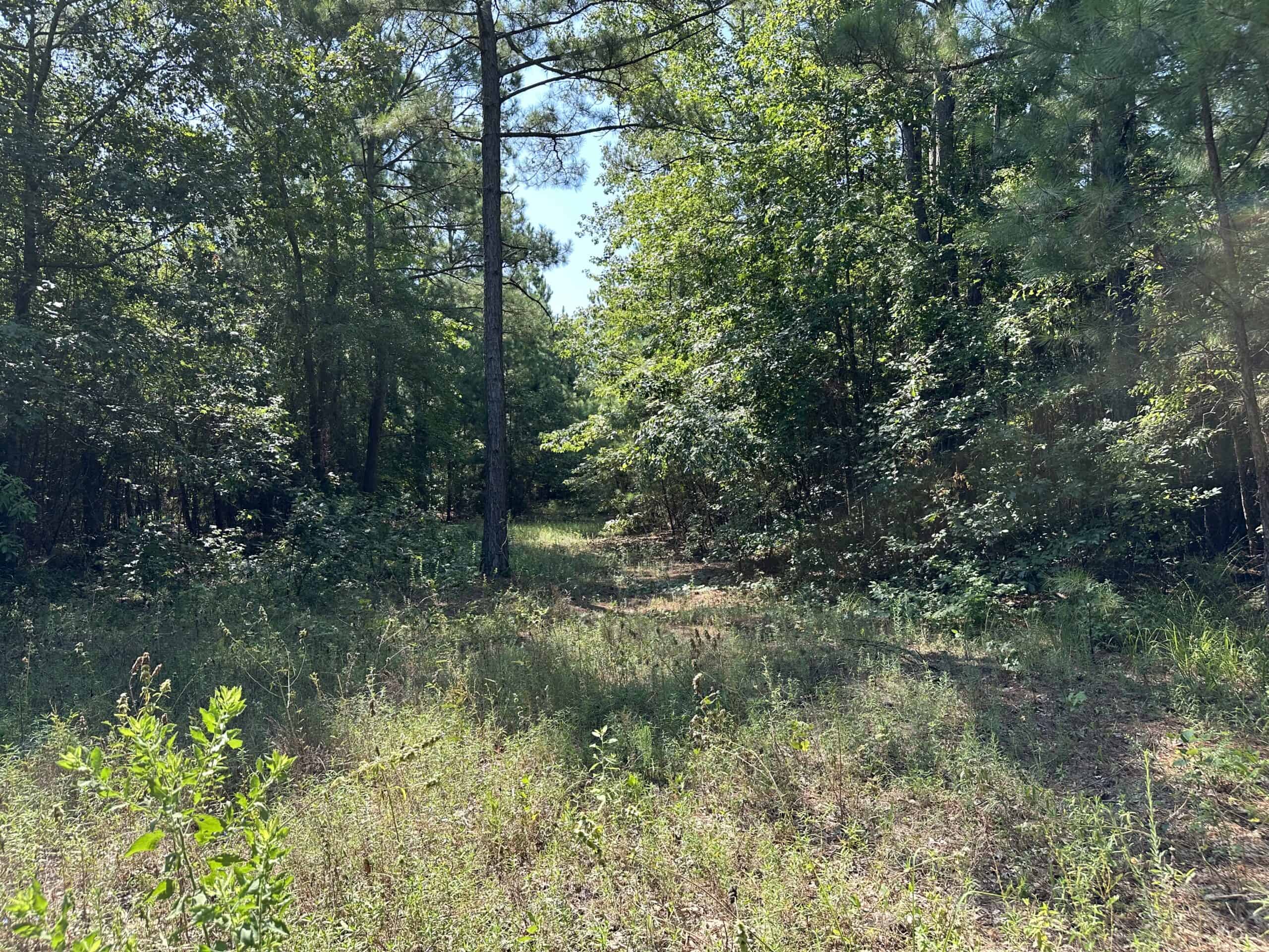 East Texas Hunting/Recreational Land For Sale