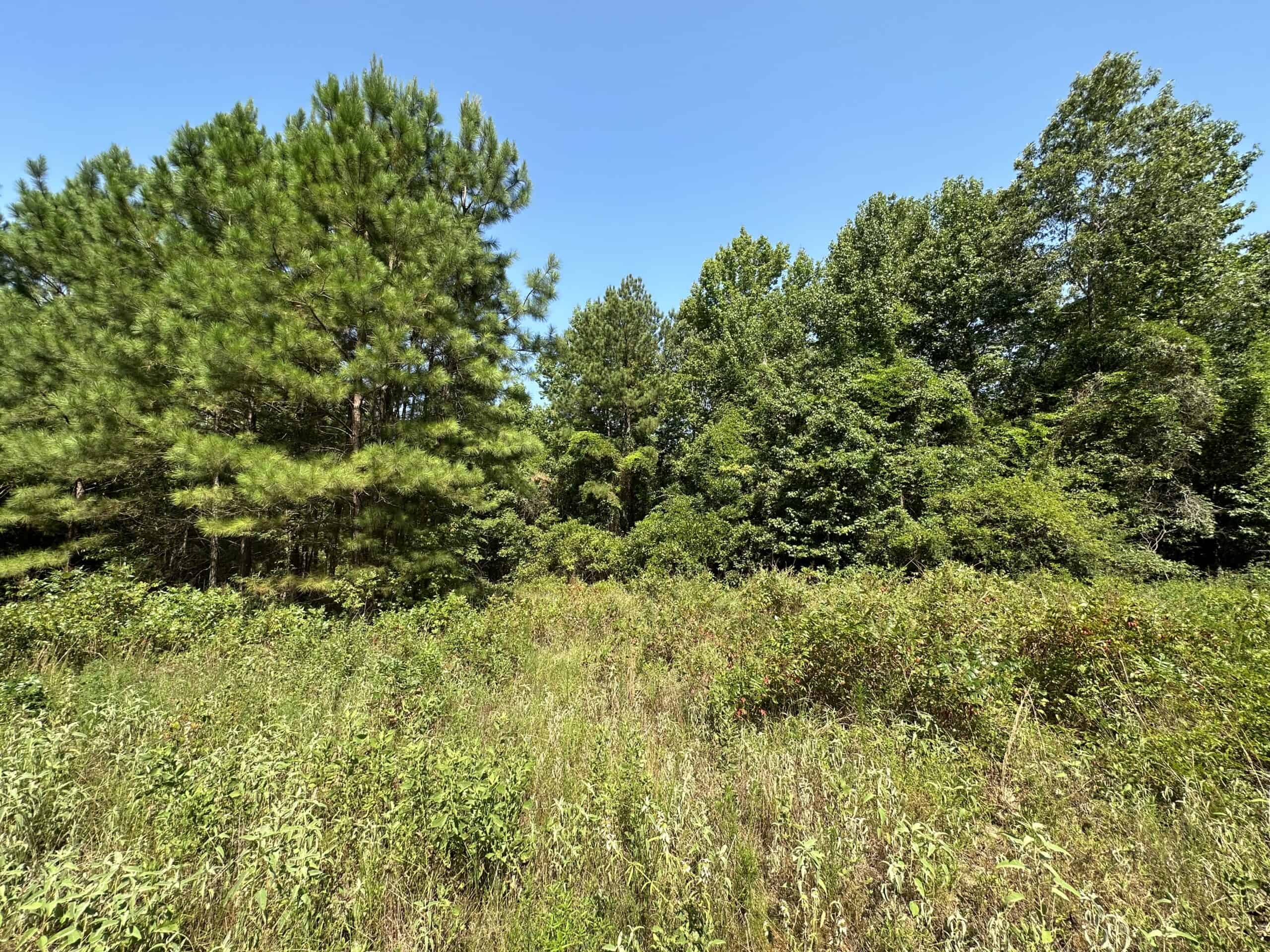 East Texas Hunting/Recreational Land For Sale