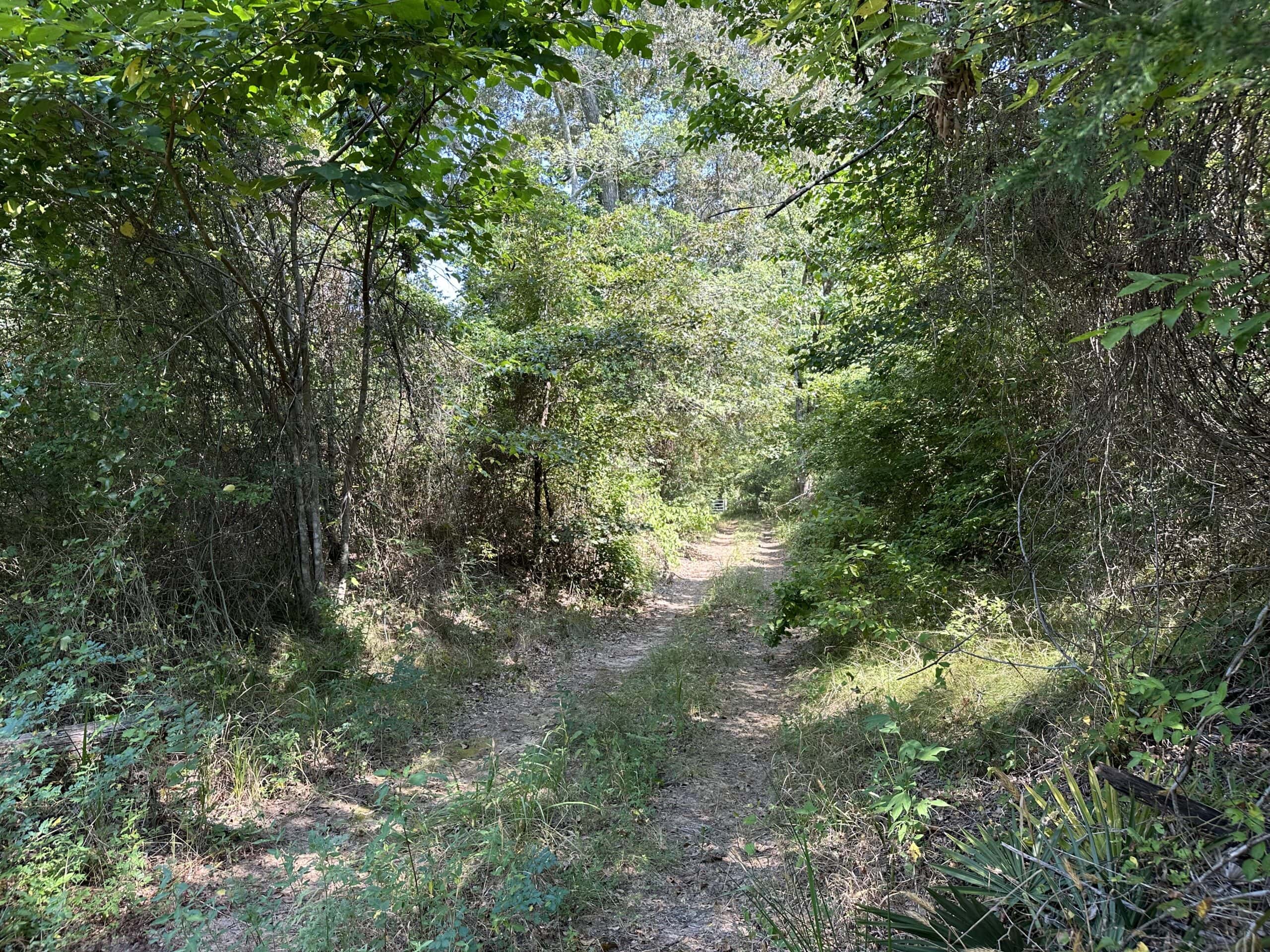 East Texas Hunting/Recreational Land For Sale