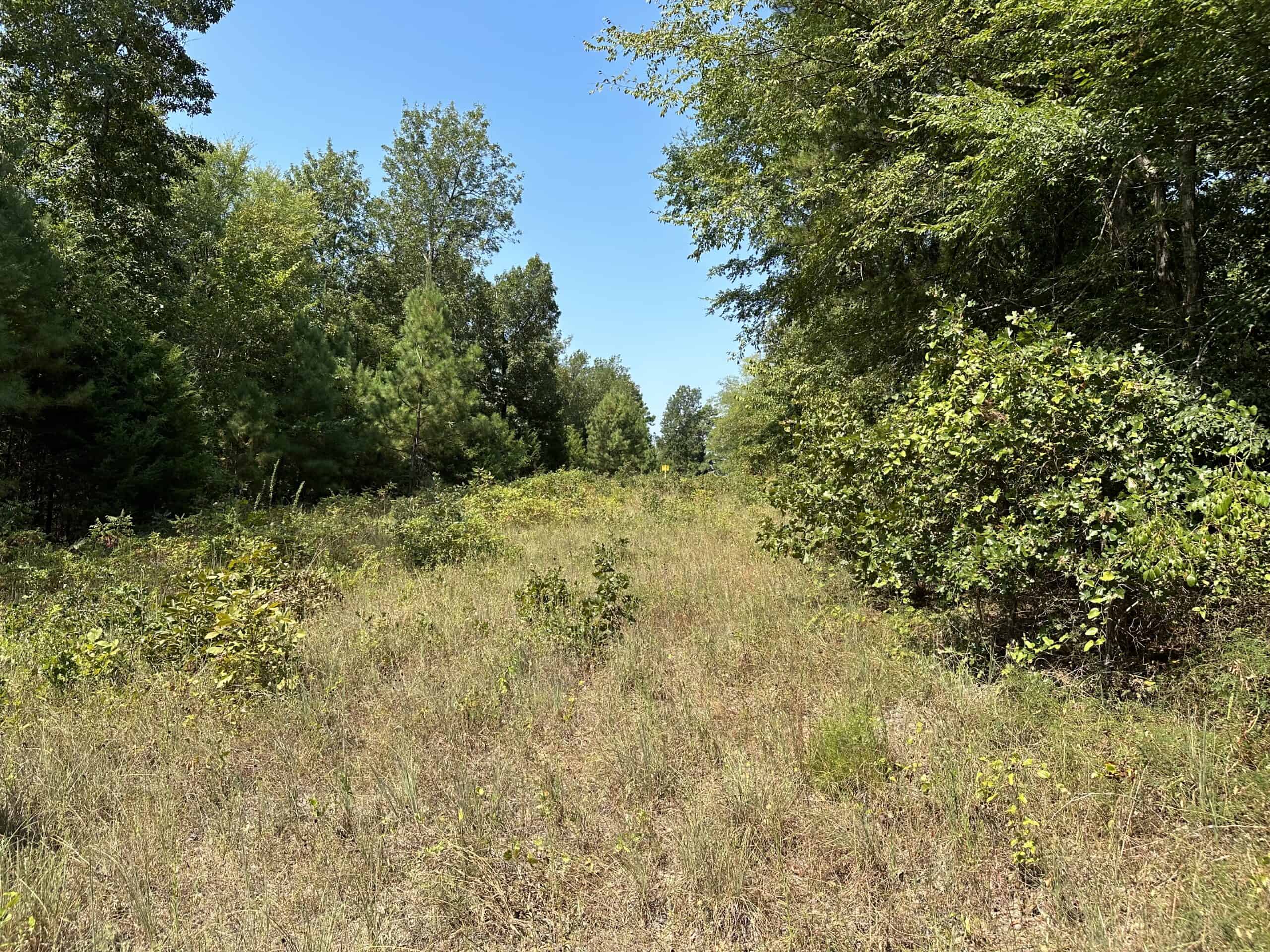 East Texas Hunting/Recreational Land For Sale