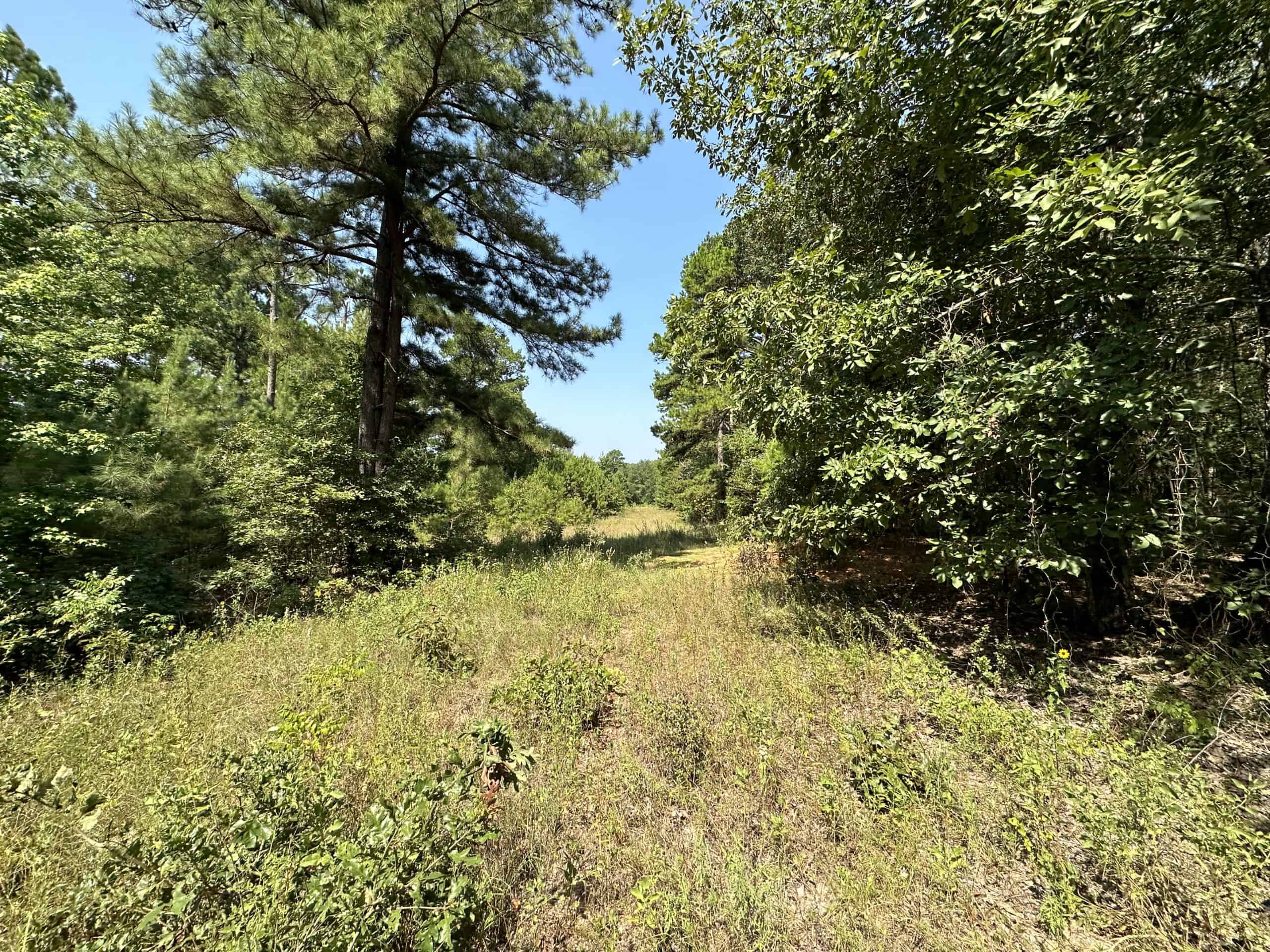 East Texas Hunting/Recreational Land For Sale