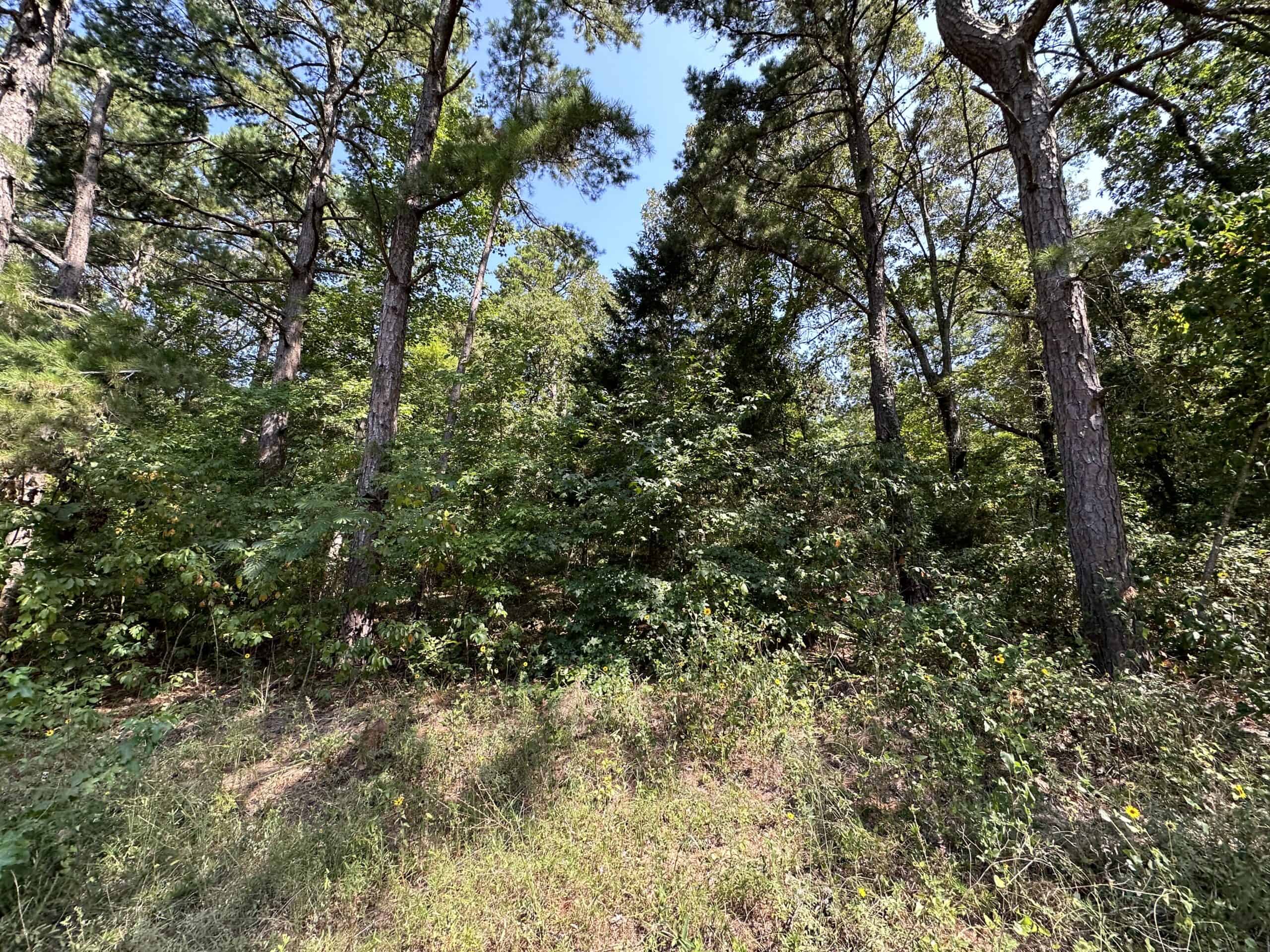 East Texas Hunting/Recreational Land For Sale