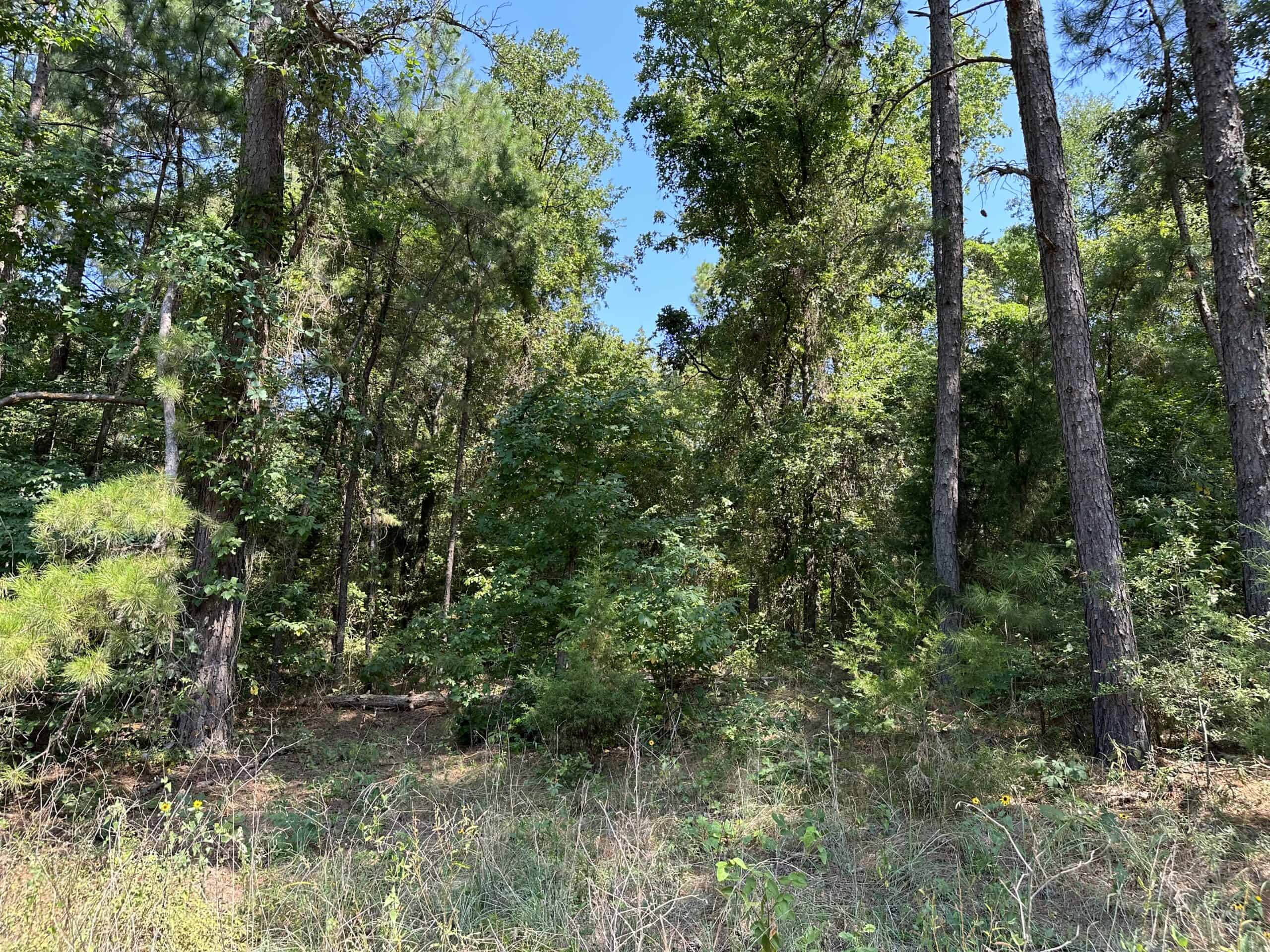 East Texas Hunting/Recreational Land For Sale