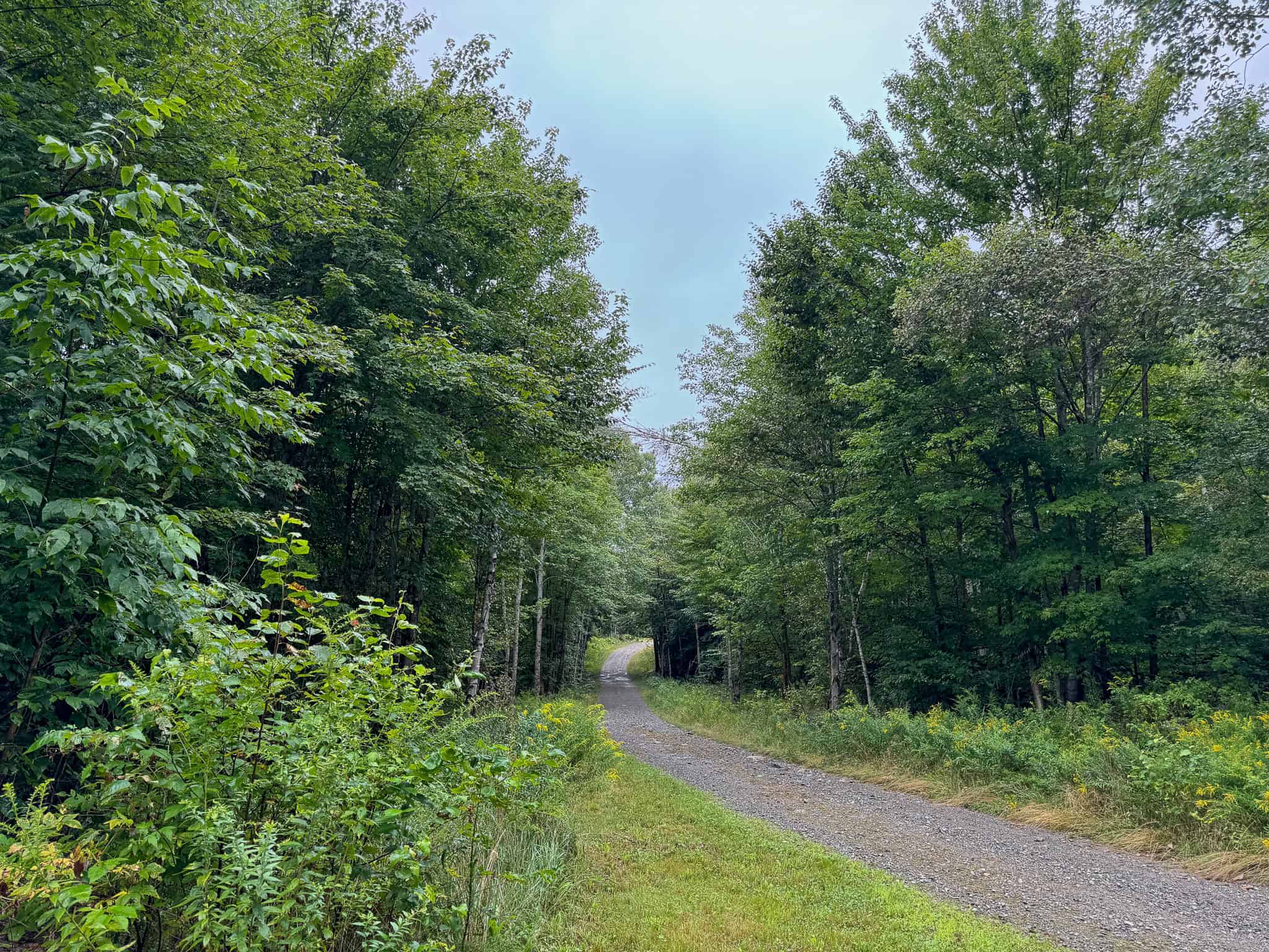 Private Maine Camp with 89± Acres