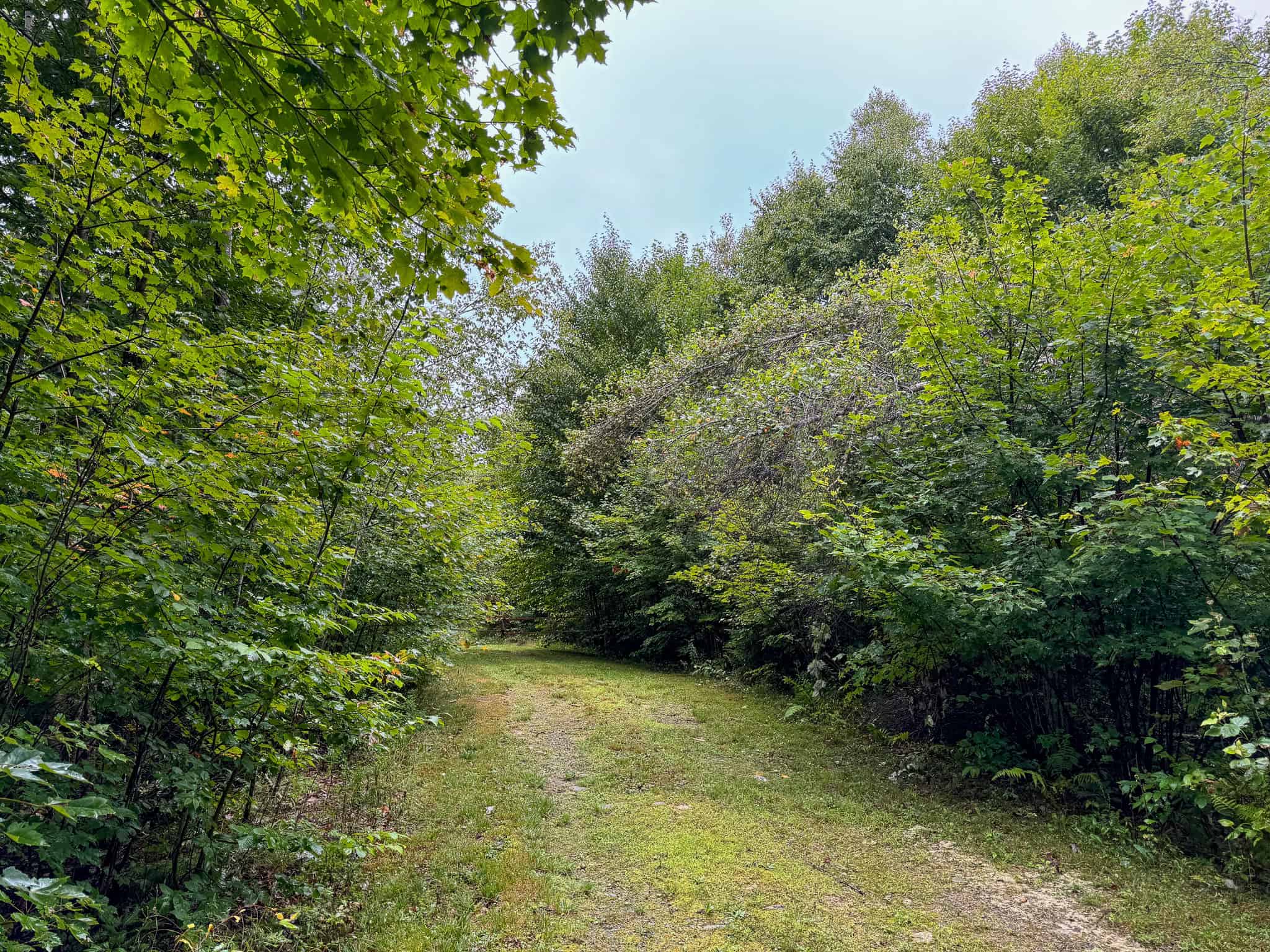 Private Maine Camp with 89± Acres
