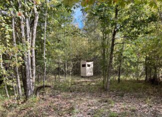 McCurtain County Oklahoma Hunting Property